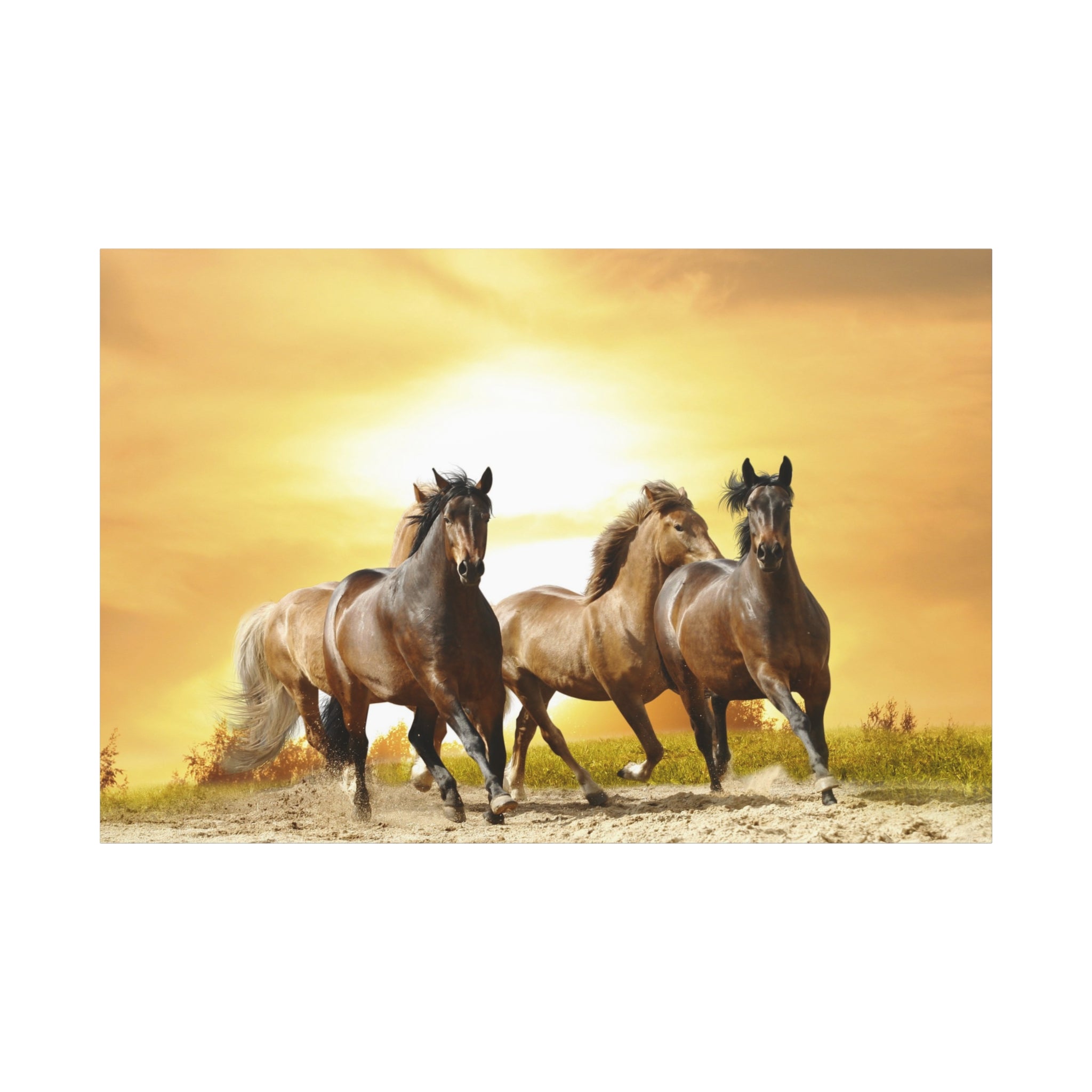 canvas-print-running-horse-wall-art-farmhouse-wall-decor-home-decor-housewarming-gift-horse-print-wall-print