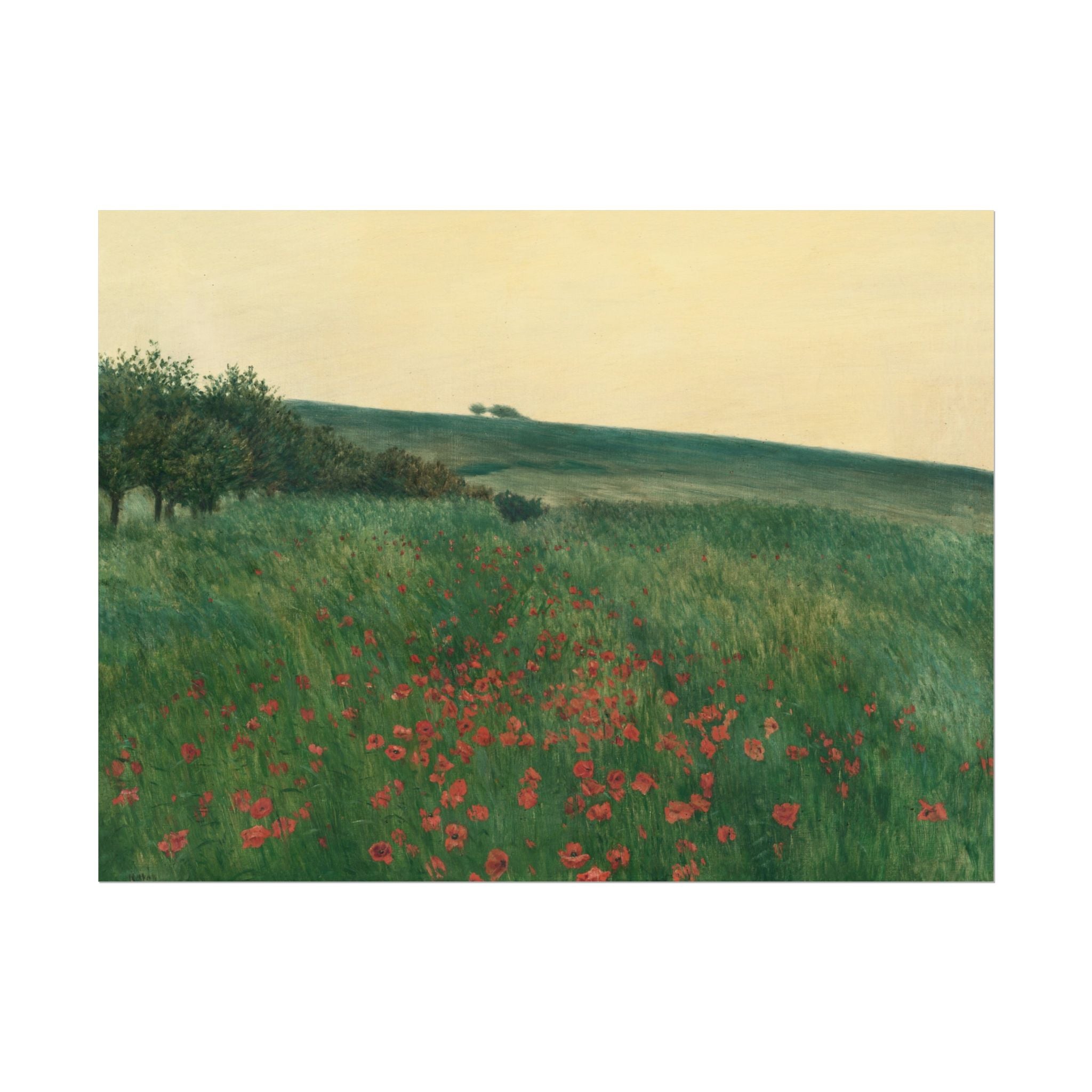 Frantisek Kavan, Fields Poster Print, Fields Landscape Painting, Red Poppies, Rustic Canvas Wall Art, Farmhouse Wall Decor