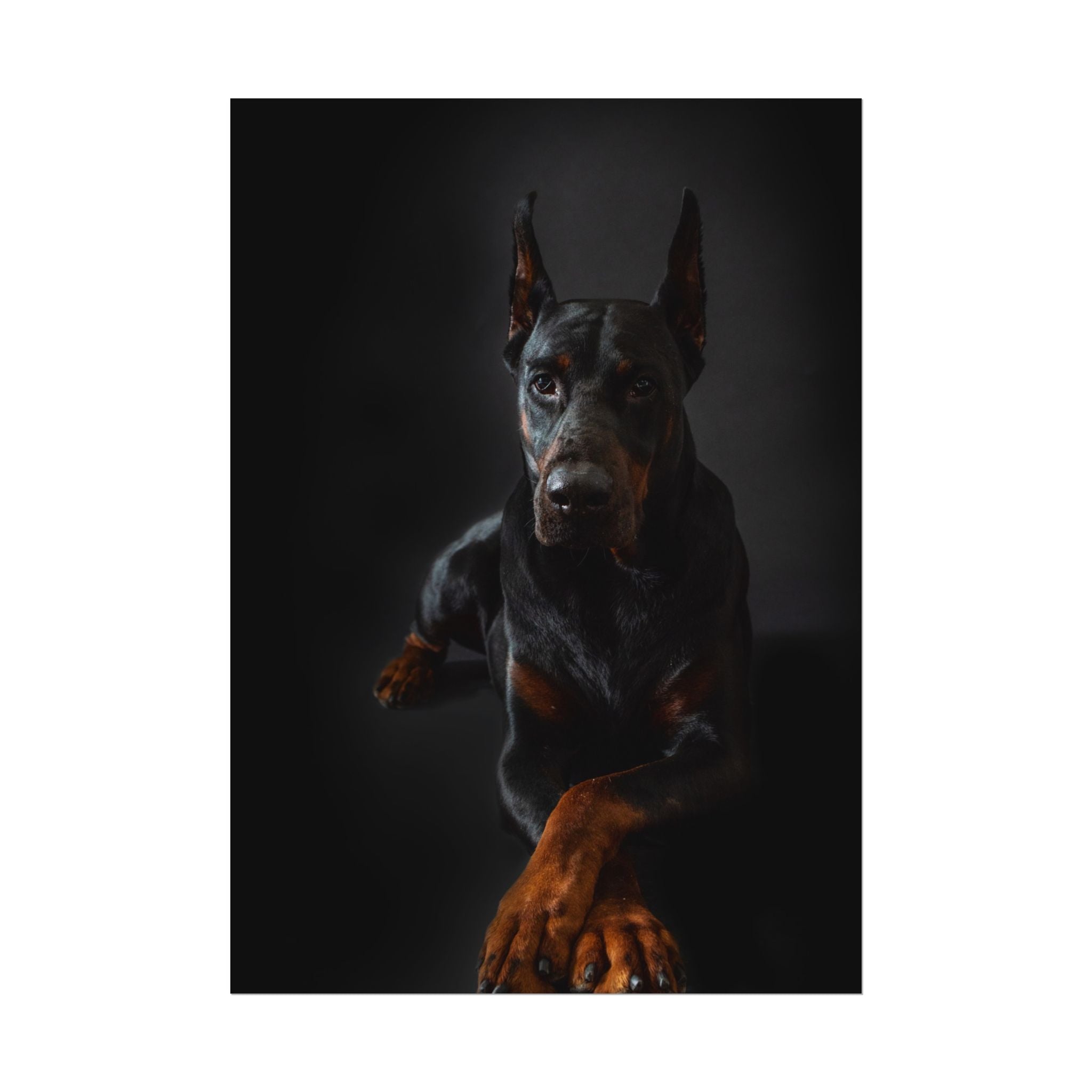 doberman-pincher-poster-print-rolled-posters-wall-art-home-decor-dog-lover-gift-animal-art-room-decoration