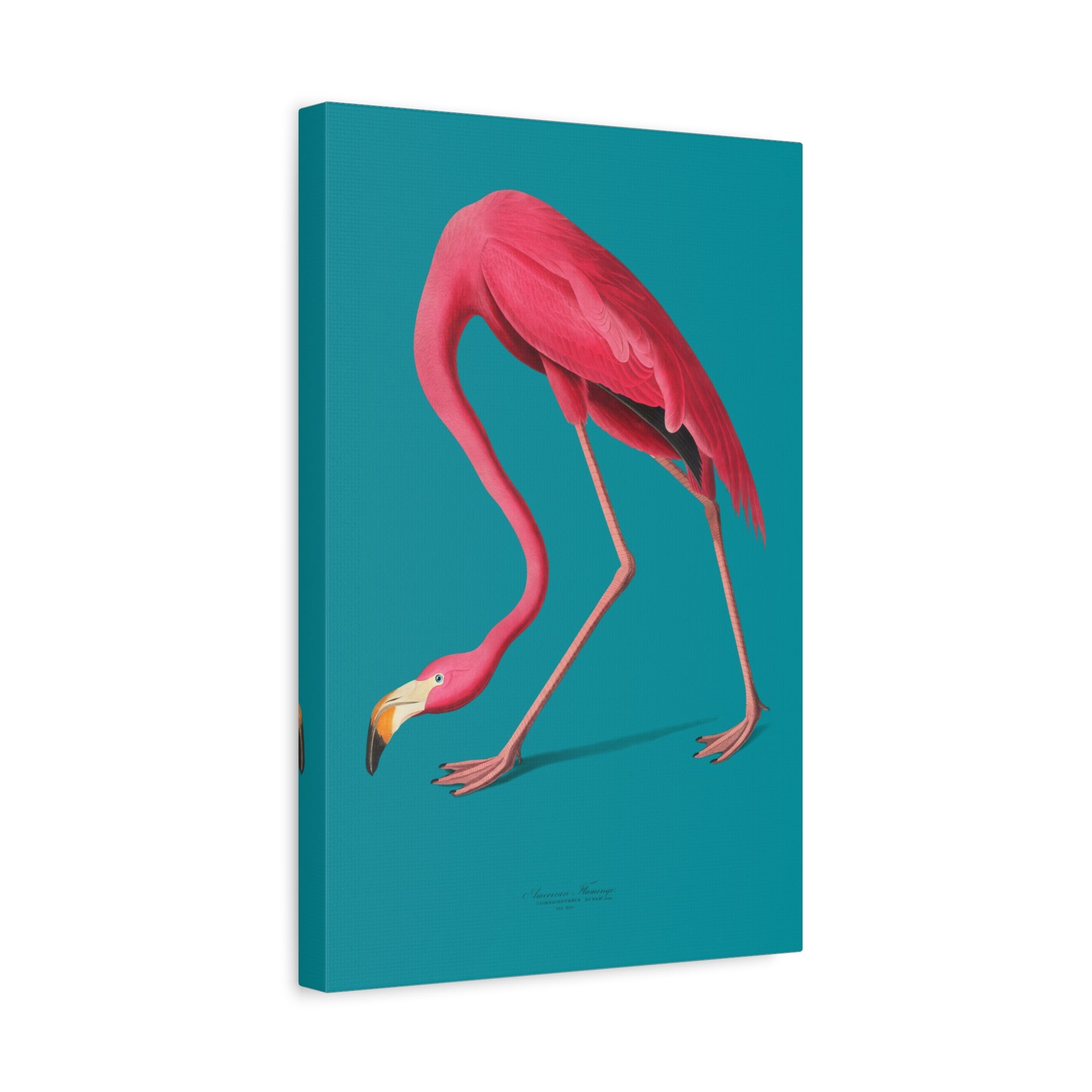 canvas-print-pink-flamingo-wall-art-vintage-home-decor-living-room-decor-stretched-canvas-art-pink-wall-art-flamingo-illustra