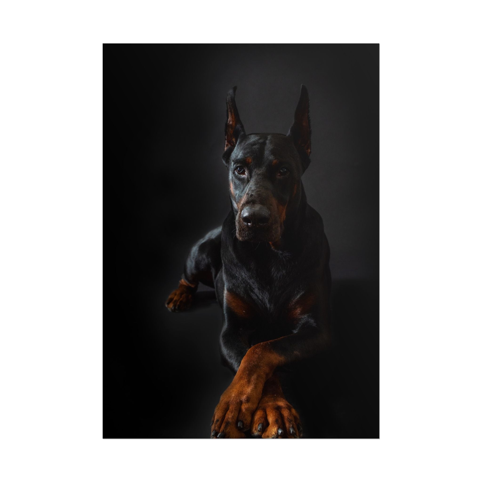 doberman-pincher-poster-print-rolled-posters-wall-art-home-decor-dog-lover-gift-animal-art-room-decoration