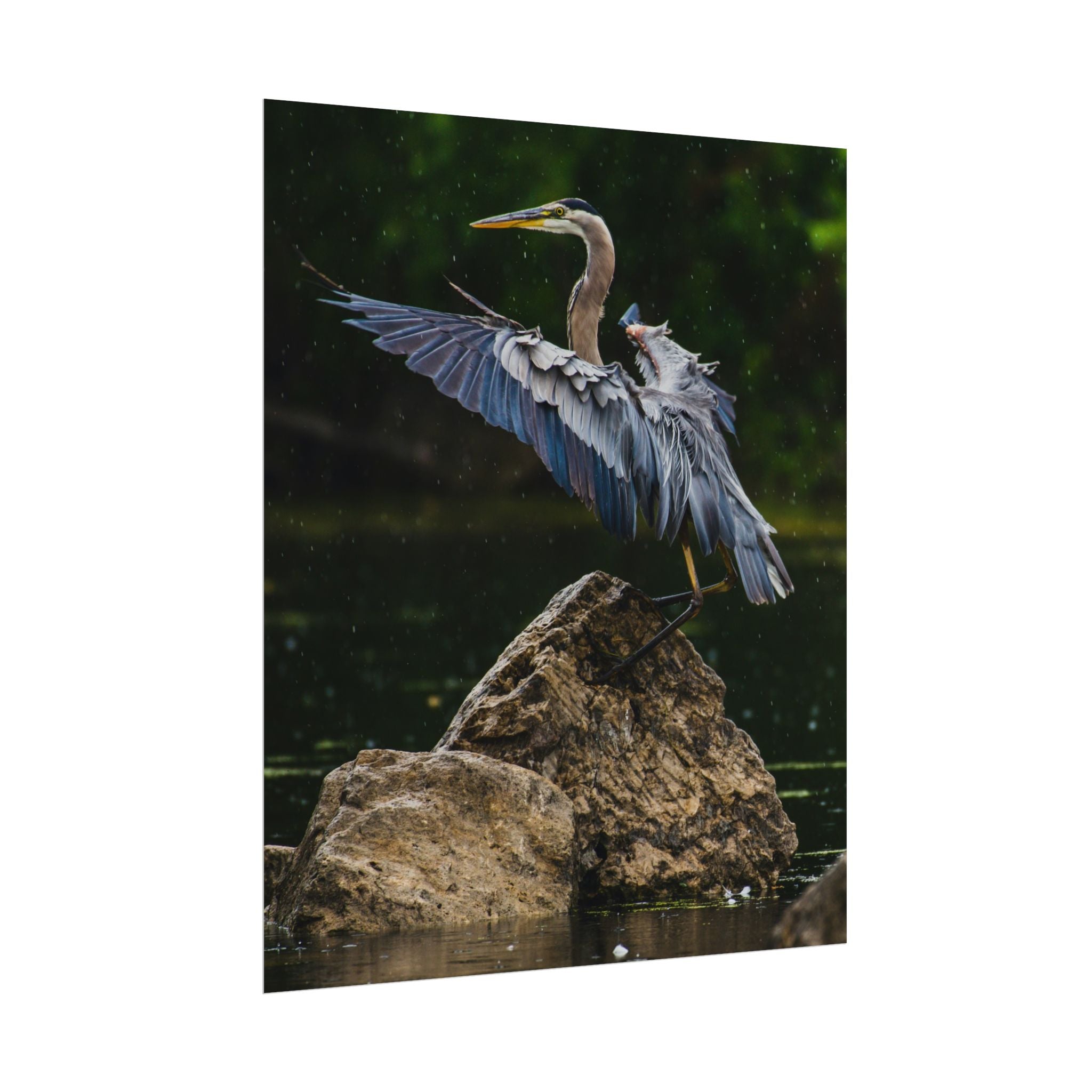 great-blue-heron-poster-wall-art-home-decor-bird-lover-gift-nature-wall-hanging-wildlife-poster
