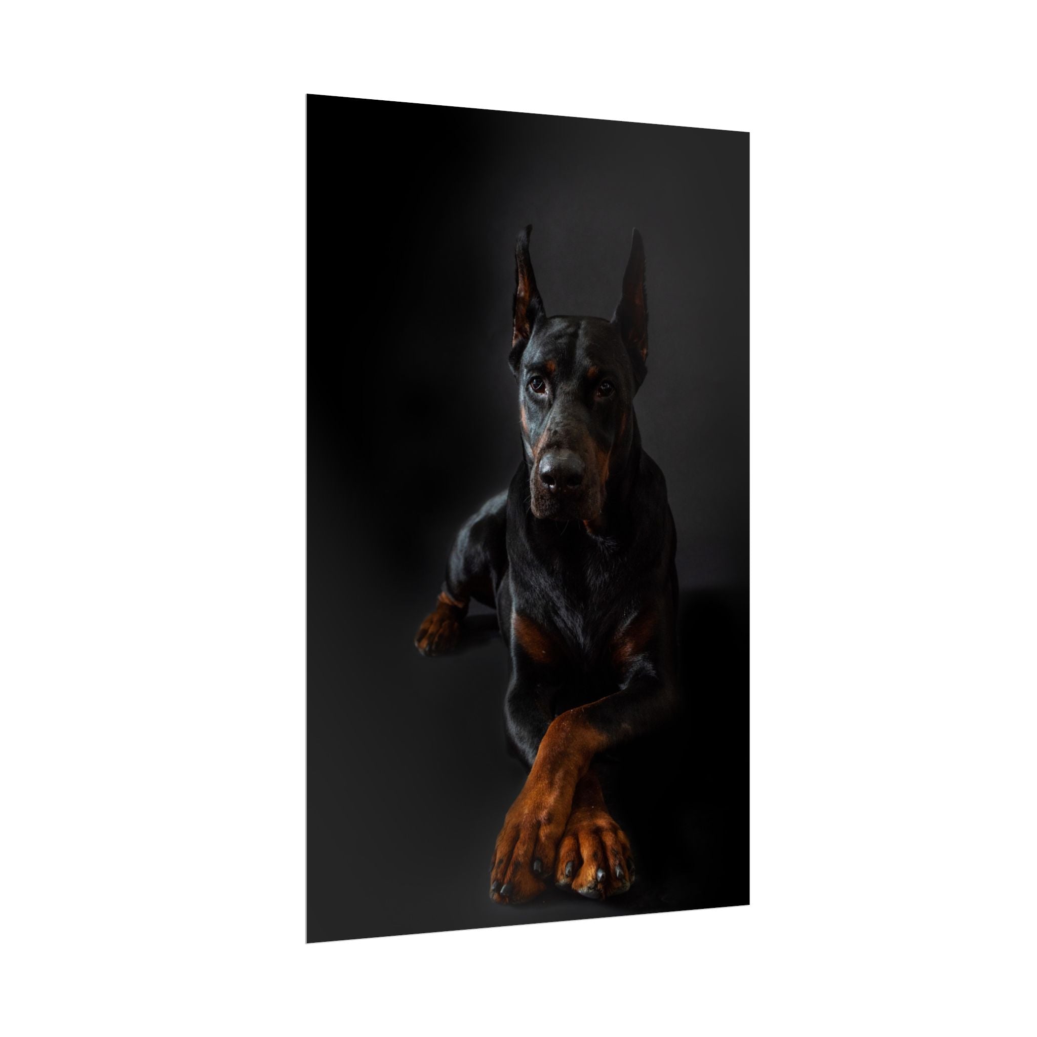 doberman-pincher-poster-print-rolled-posters-wall-art-home-decor-dog-lover-gift-animal-art-room-decoration