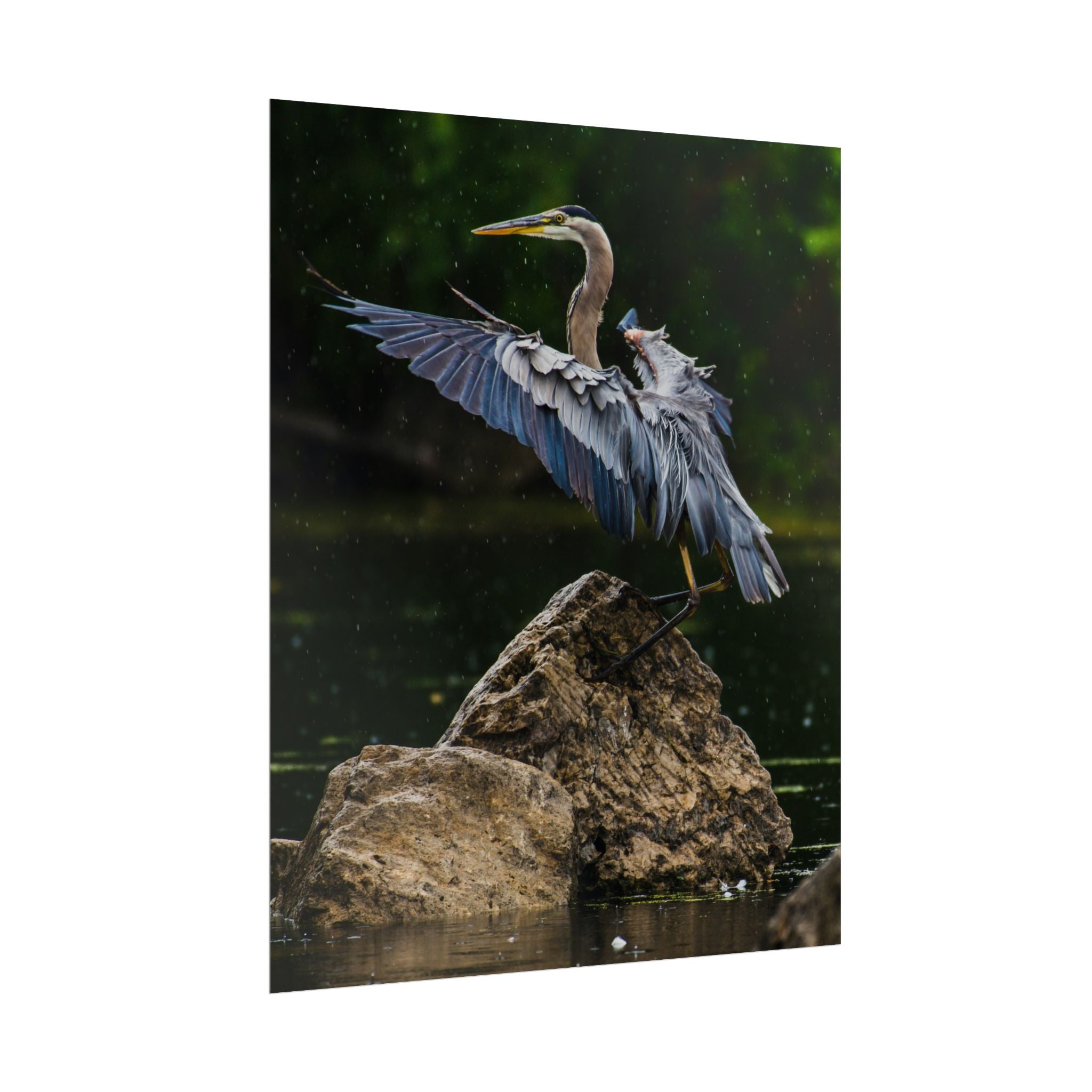 great-blue-heron-poster-wall-art-home-decor-bird-lover-gift-nature-wall-hanging-wildlife-poster
