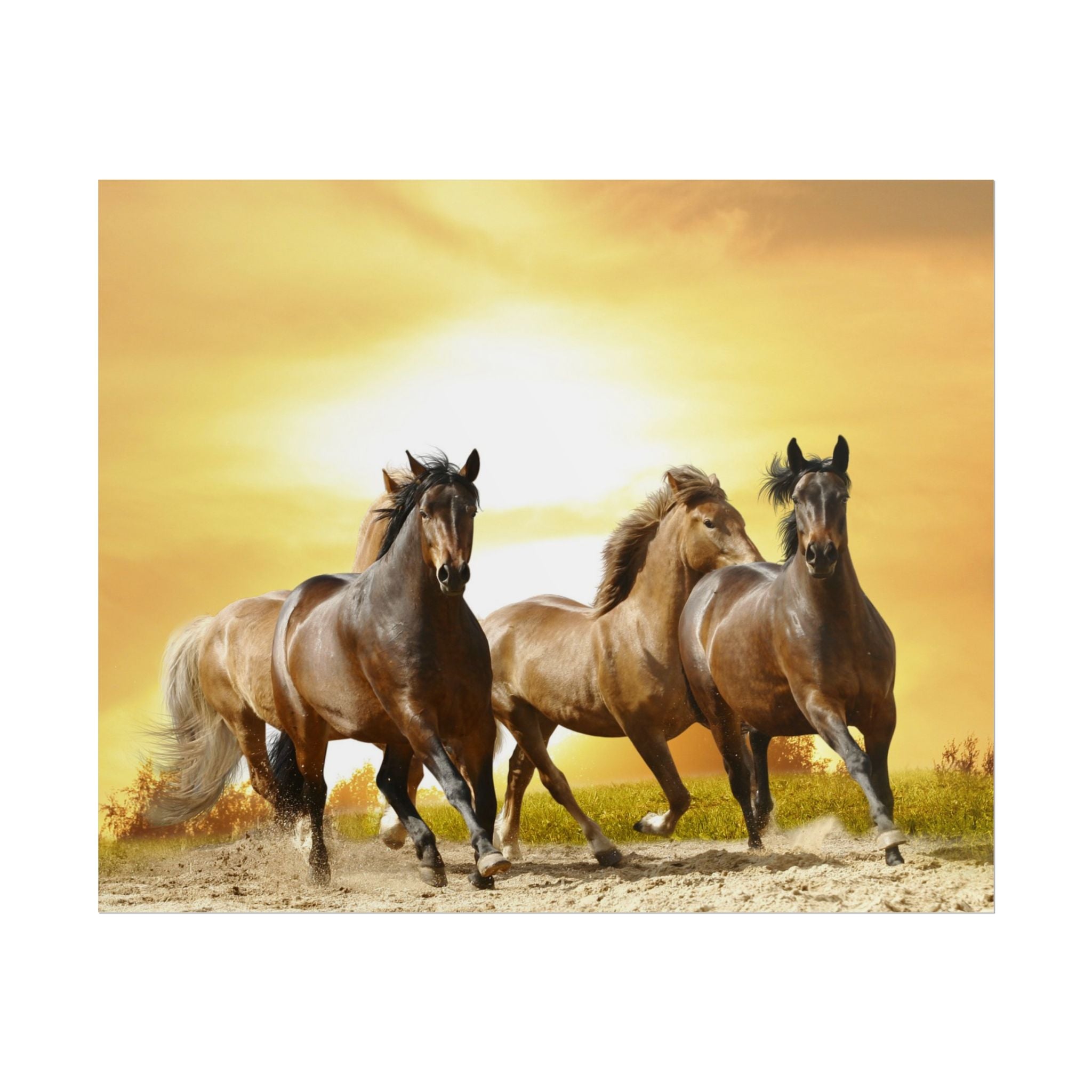 running-horse-poster-wall-art-farmhouse-wall-decor-home-decor-housewarming-gift-horse-print-wall-print-wild-animals