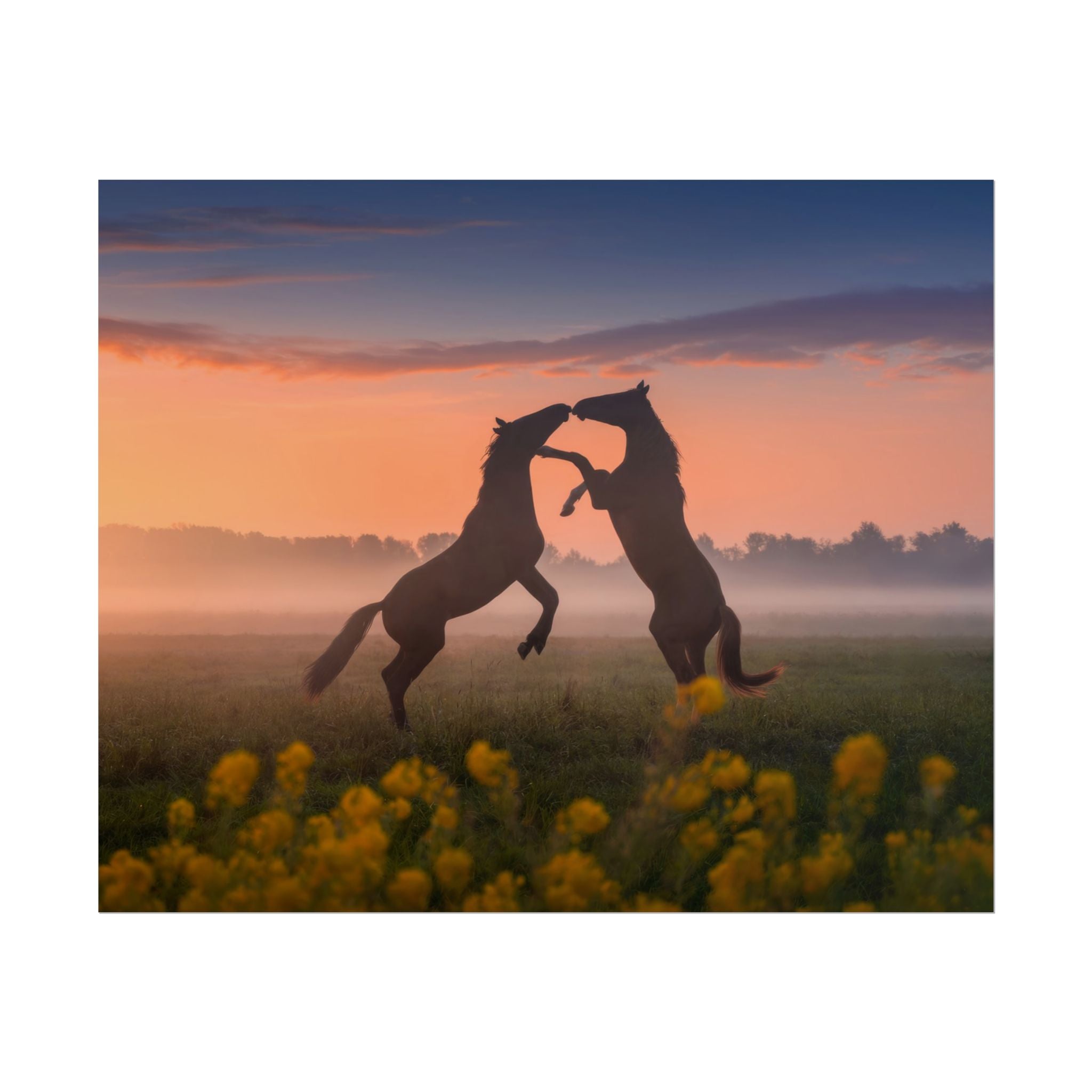 Wild Rising Horses Poster Print, Field of Flowers Decor, Home Decor, Farmhouse Wall Decor, Nature Wall Art, Horse Canvas Print, Mustang