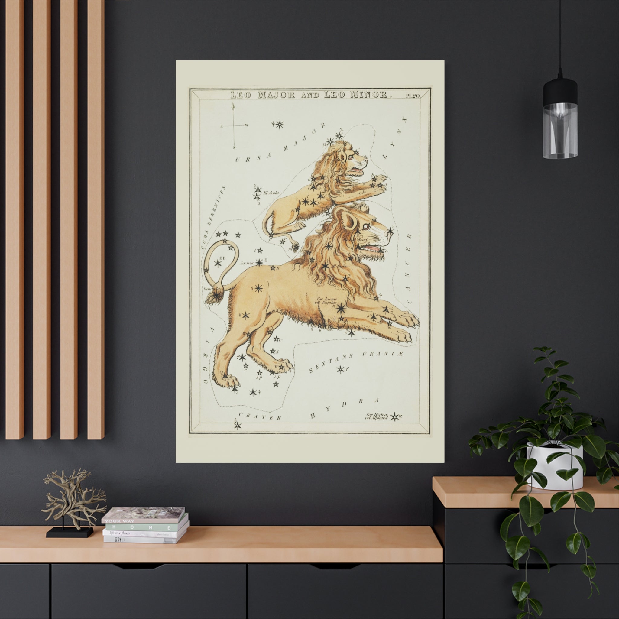 canvas-print-star-map-leo-major-leo-minor-celestial-gift-vintage-map-celestial-map-wall-art-decor-astronomy-decor-constellati