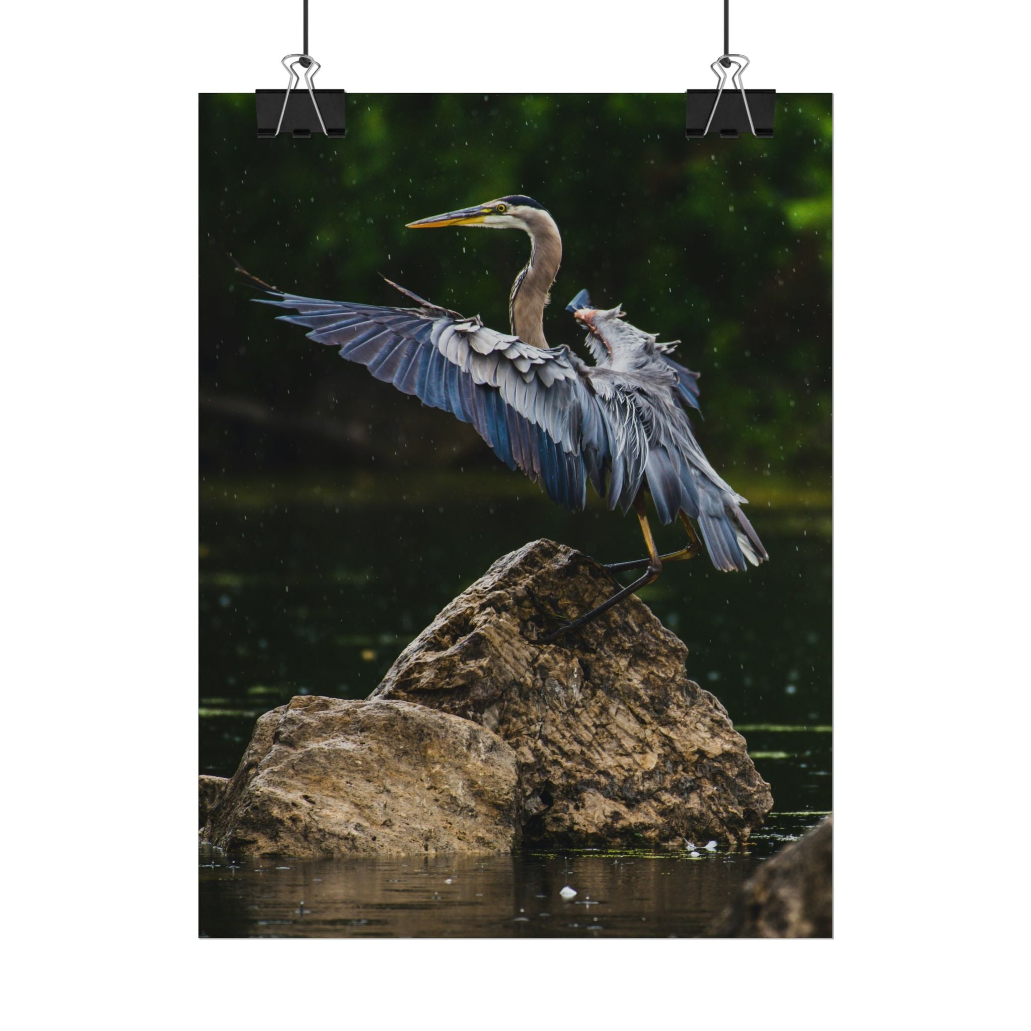 great-blue-heron-poster-wall-art-home-decor-bird-lover-gift-nature-wall-hanging-wildlife-poster