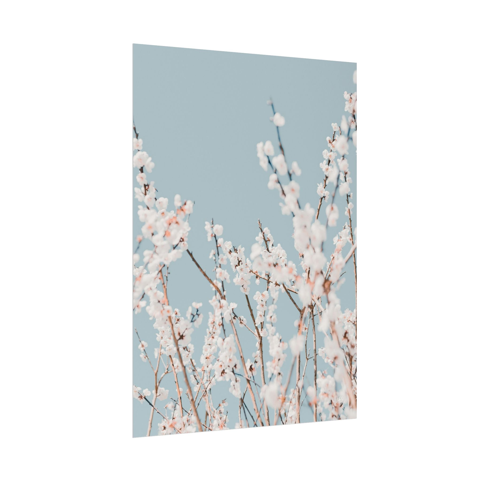 blossom-flowers-poster-print-minimalist-aesthetic-wall-art-fine-art-paper-home-decor-floral-decor-elegant-artwork