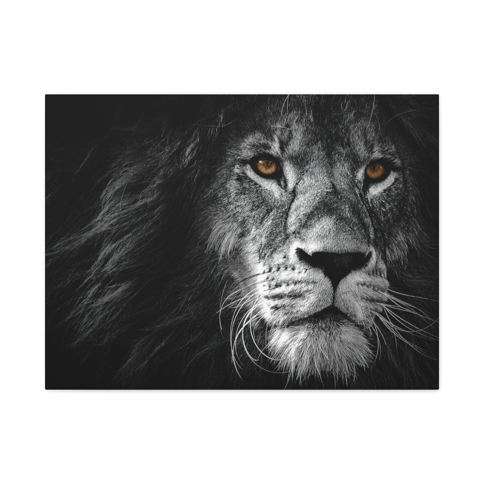 canvas-print-lion-wall-art-black-and-white-living-room-decor-matte-stretched-lion-poster-jungle-animal-art-print-wildlife-saf