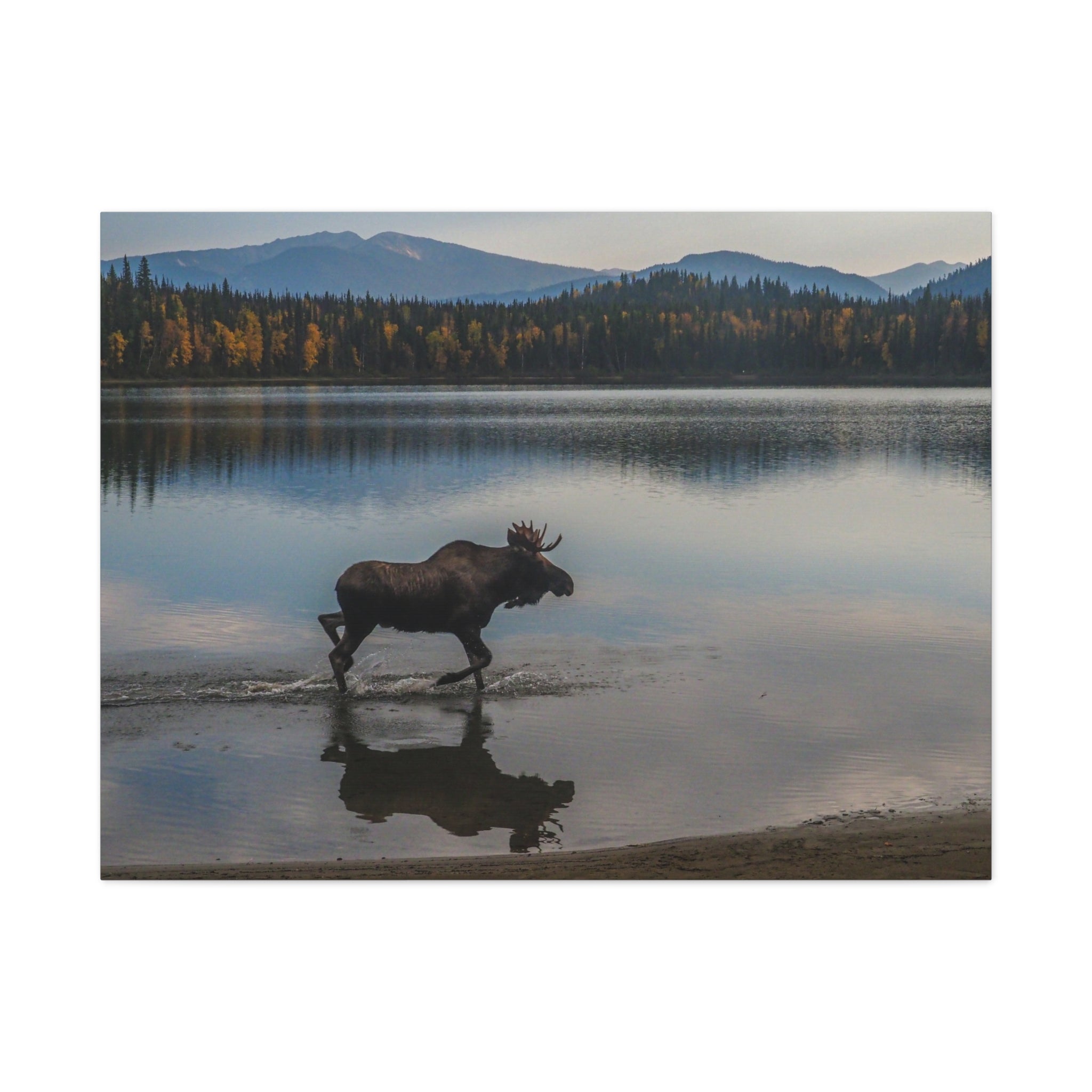 canvas-art-print-rustic-moose-wall-decor-cabin-lodge-wildlife-painting-nature-home-decor-wilderness-animal-poster-farmhouse-w