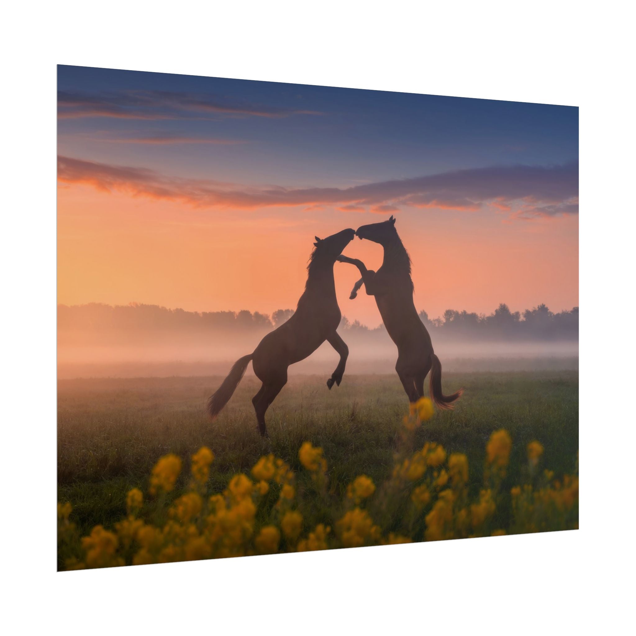 Wild Rising Horses Poster Print, Field of Flowers Decor, Home Decor, Farmhouse Wall Decor, Nature Wall Art, Horse Canvas Print, Mustang