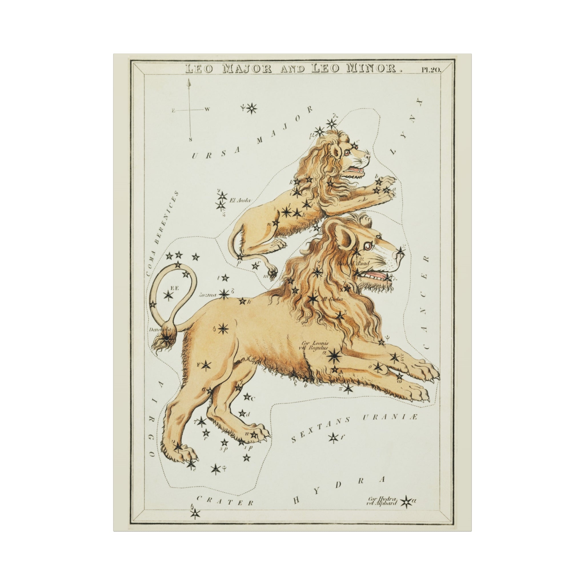 canvas-print-star-map-leo-major-leo-minor-celestial-gift-vintage-map-celestial-map-wall-art-decor-astronomy-decor-constellati
