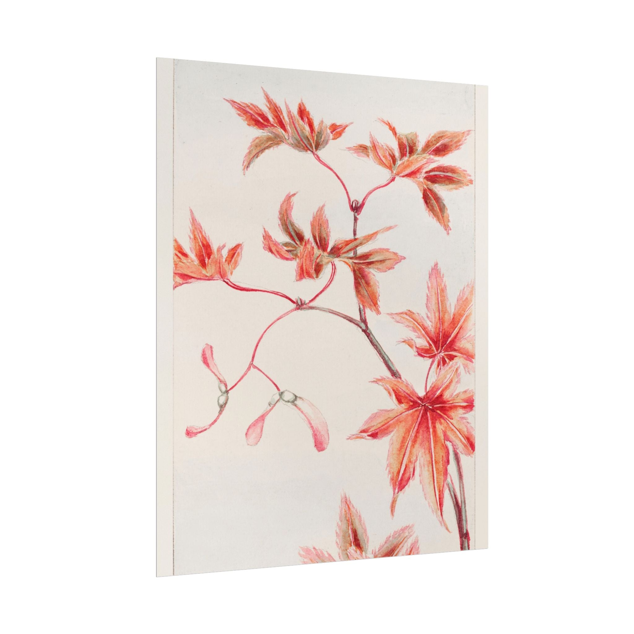 poster-print-branch-of-momiji-maple-tree-with-leaves-floral-wall-art-rolled-posters-wall-decor-room-decoration-nature-art-bot