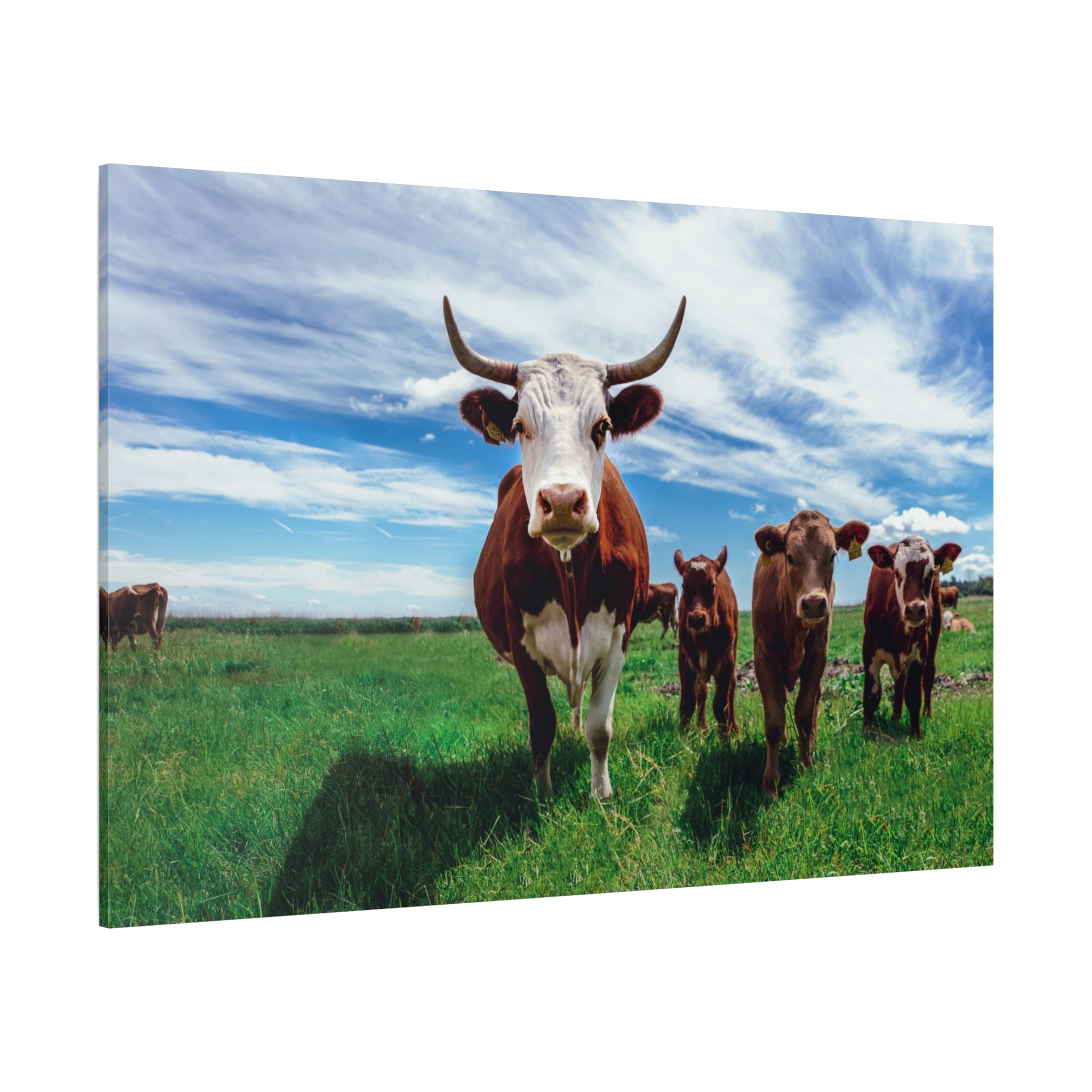 canvas-print-cow-art-home-decor-wall-art-farmhouse-art-living-room-decor-matte-canvas-print-cow-lovers-gift