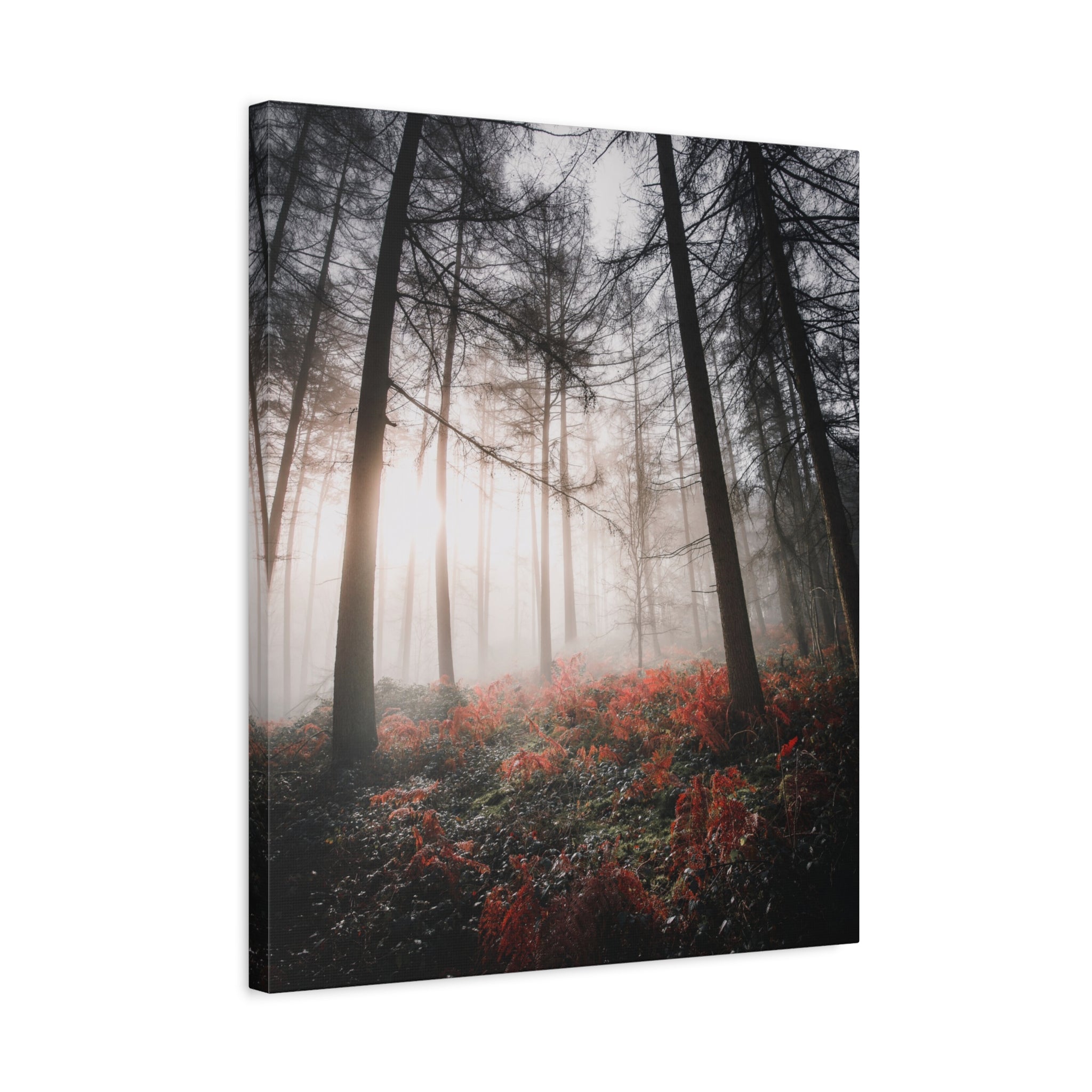 canvas-print-misty-woods-art-living-room-wall-decor-sunlight-forest-landscape-aesthetic-nature-art-stretched-artwork-matte-ca