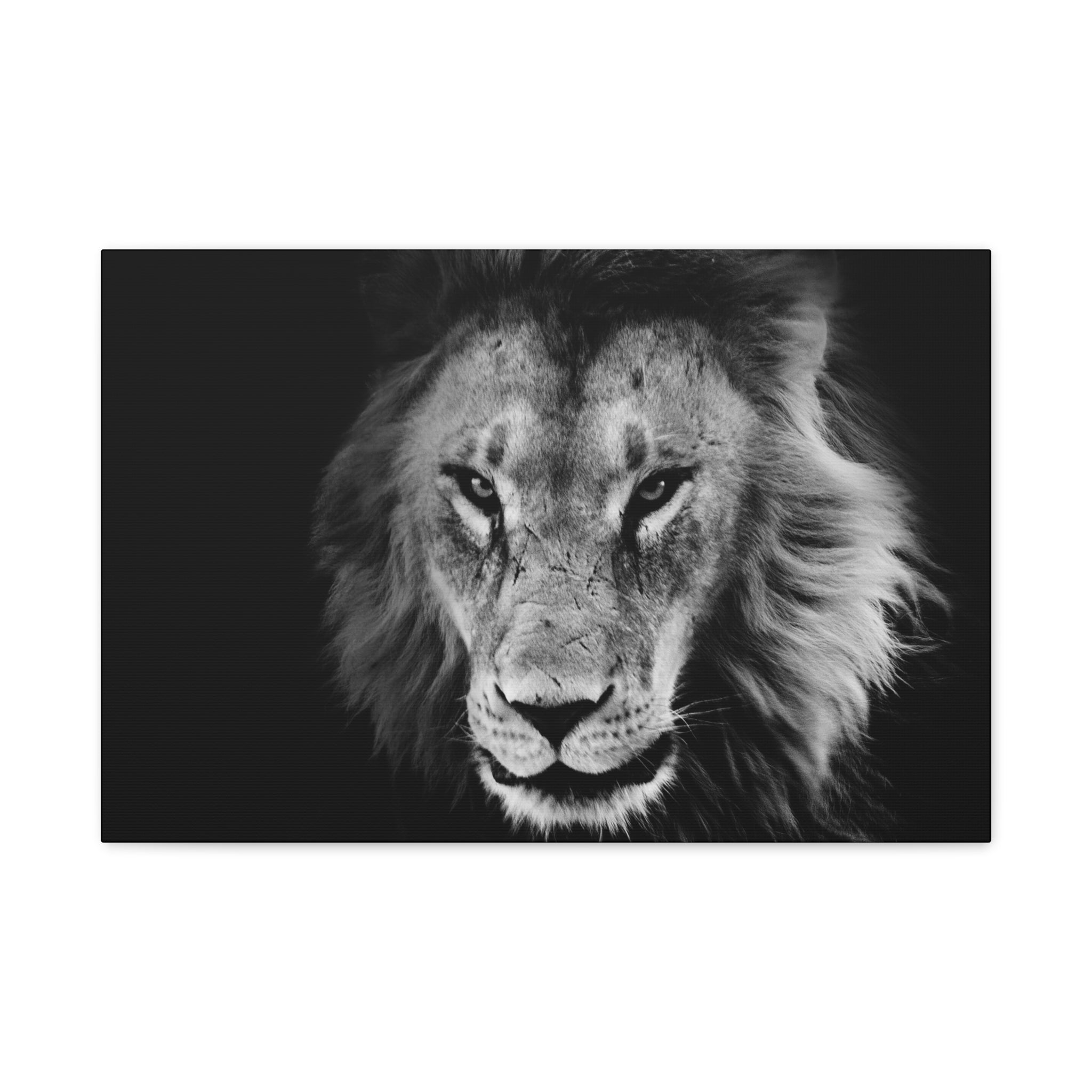 canvas-print-lion-wall-art-black-and-white-living-room-decor-matte-stretched-lion-poster-jungle-animal-art-print-wildlife-saf