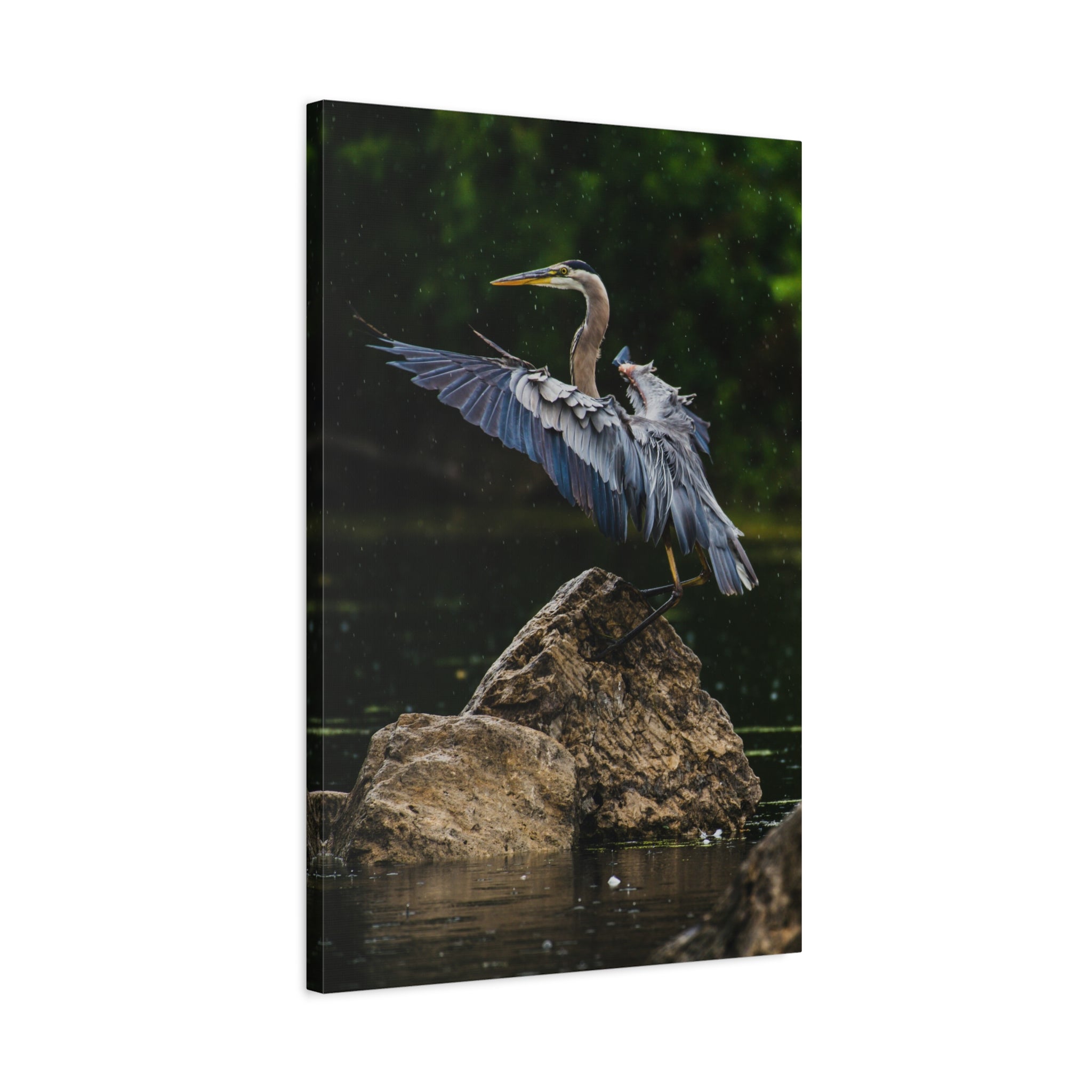 canvas-print-wall-art-great-blue-heron-matte-canvas-stretched-home-decor-bird-lover-gift-nature-wall-hanging-wildlife