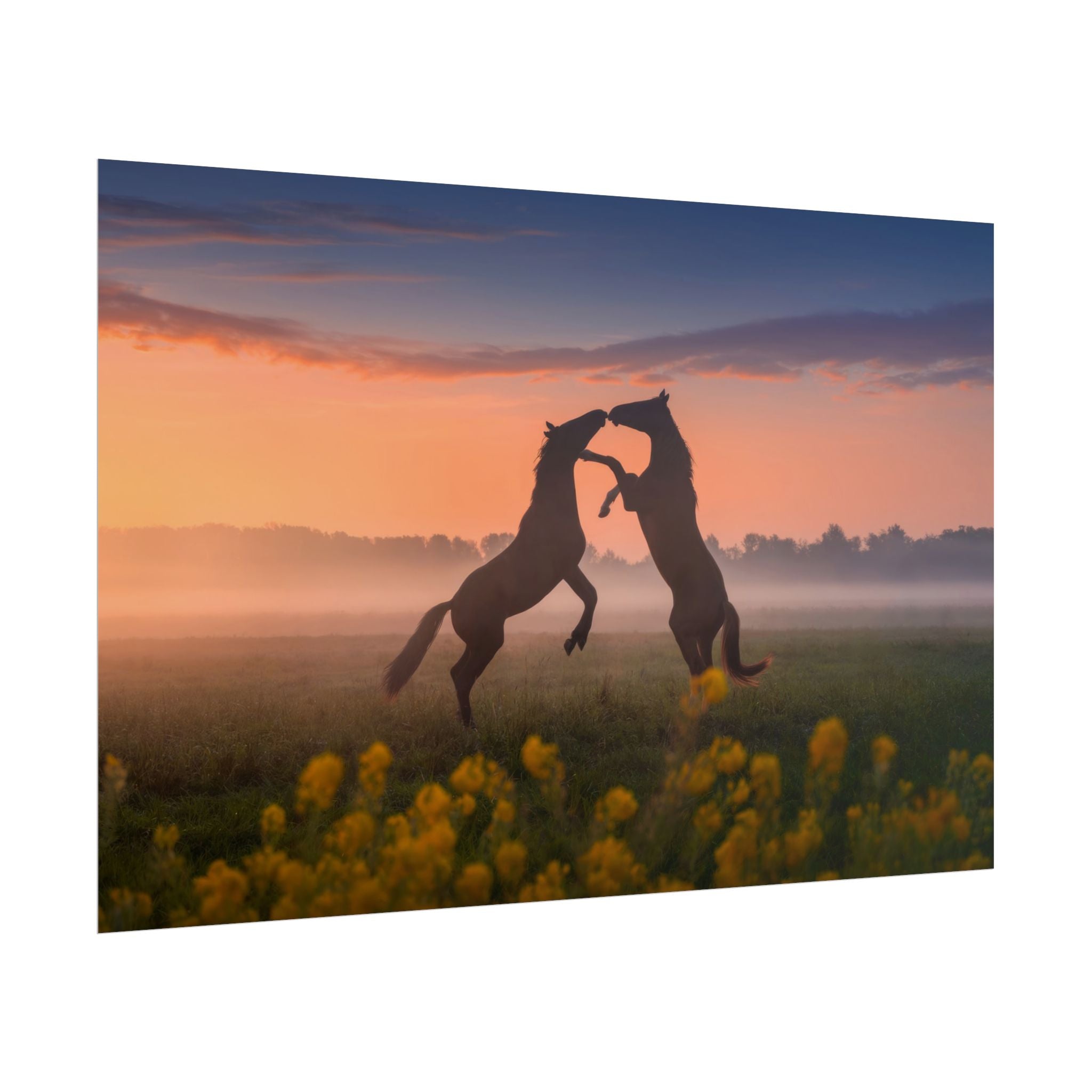 wild-rising-horses-poster-print-field-of-flowers-decor-home-decor-farmhouse-wall-decor-nature-wall-art-horse-Poster-print-mus