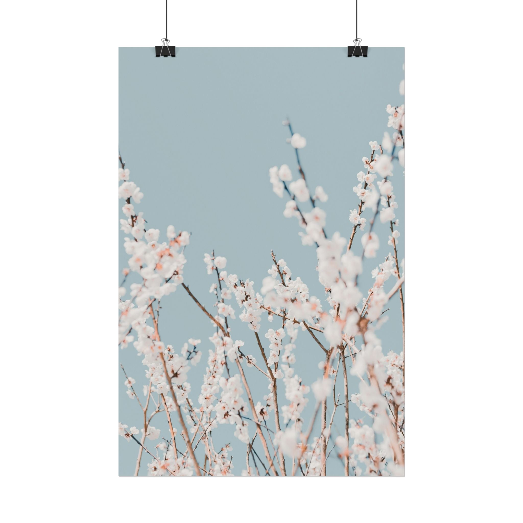 blossom-flowers-poster-print-minimalist-aesthetic-wall-art-fine-art-paper-home-decor-floral-decor-elegant-artwork