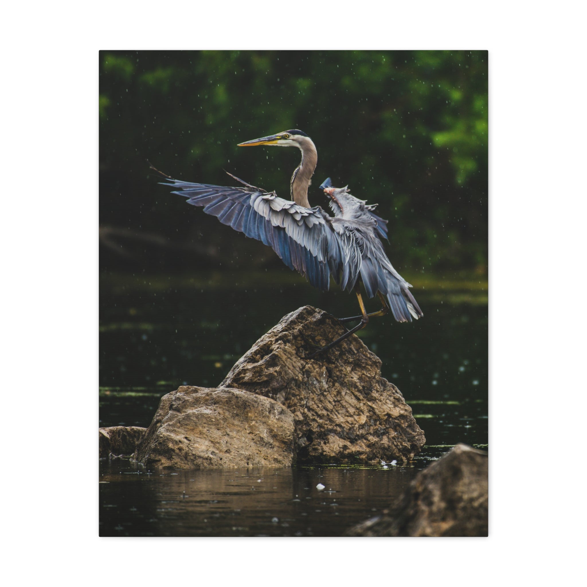 canvas-print-wall-art-great-blue-heron-matte-canvas-stretched-home-decor-bird-lover-gift-nature-wall-hanging-wildlife