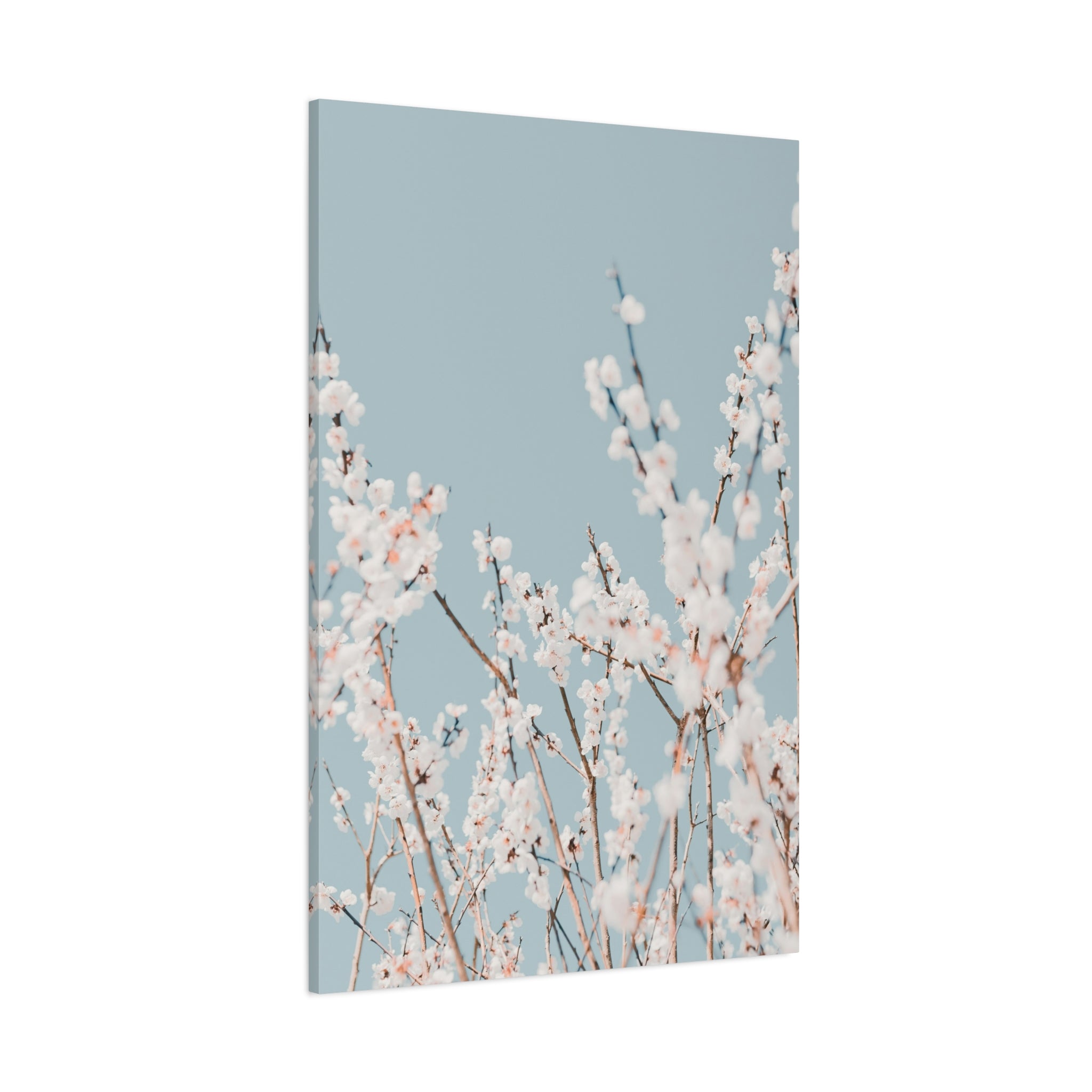 canvas-print-blossom-flowers-minimalist-aesthetic-wall-art-matte-stretched-1-25in-home-decor-floral-decor-elegant-artwork