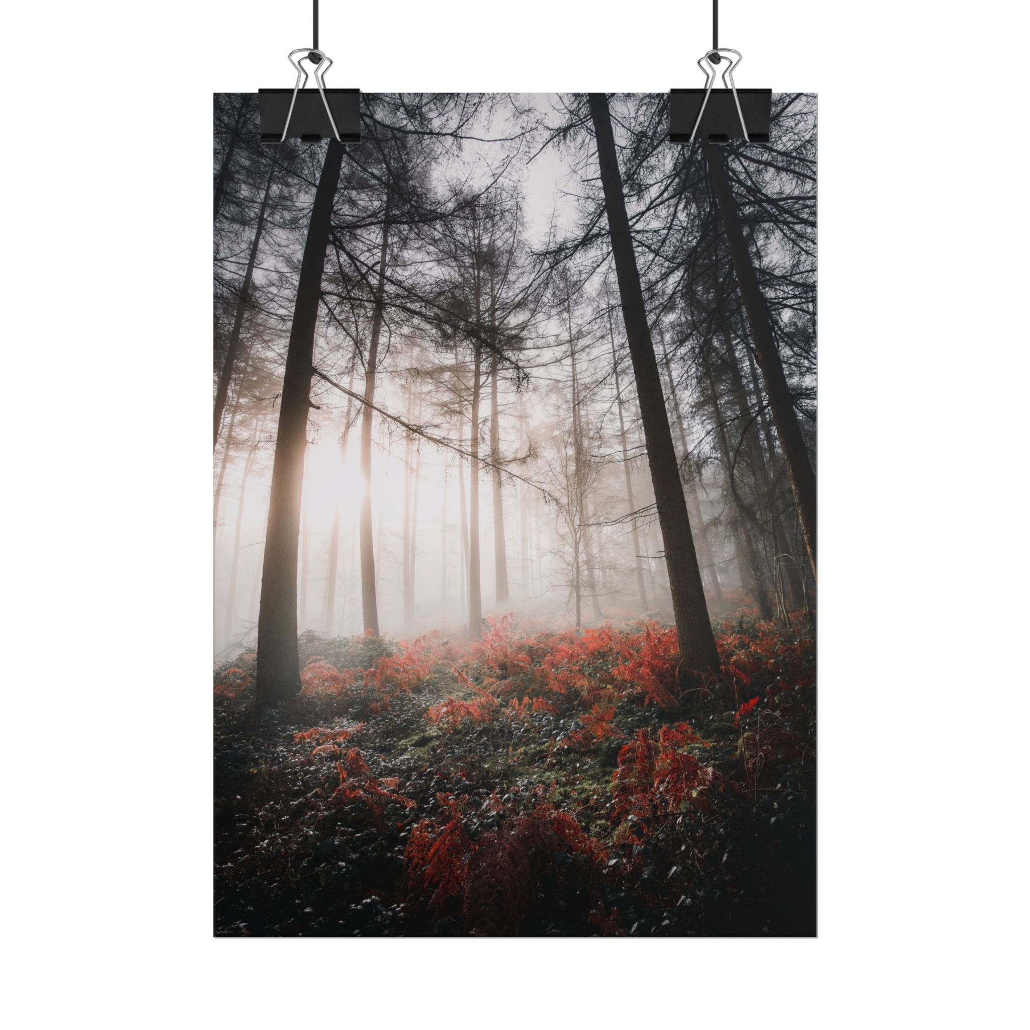 poster-print-misty-woods-art-living-room-wall-decor-sunlight-forest-landscape-aesthetic-nature-art-nature-artwork-poster-gift