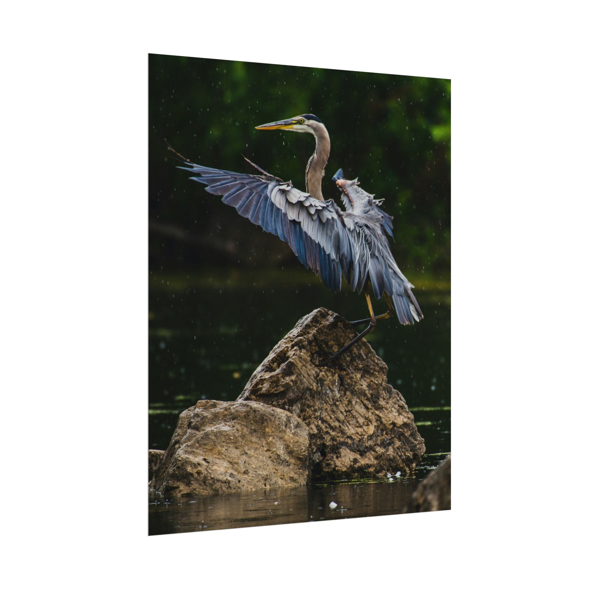 great-blue-heron-poster-wall-art-home-decor-bird-lover-gift-nature-wall-hanging-wildlife-poster