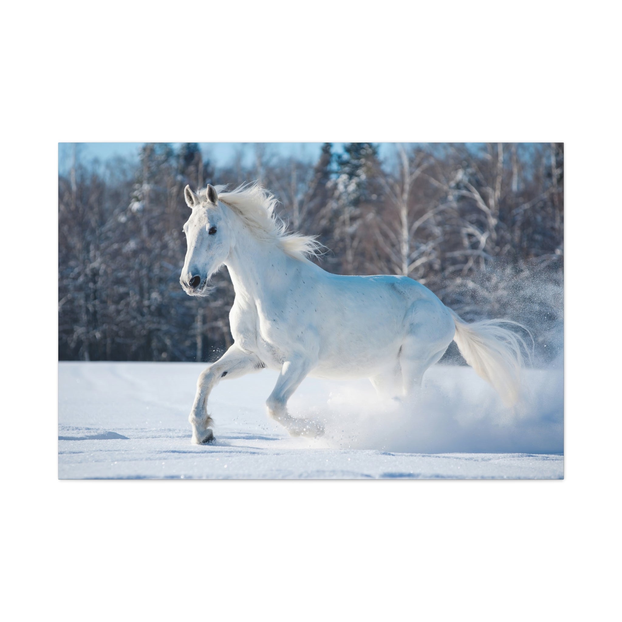 canvas-print-white-horse-winter-wall-art-home-decor-nature-decor-matte-stretched-canvas-alternative-horse-wall-decor-wildlife