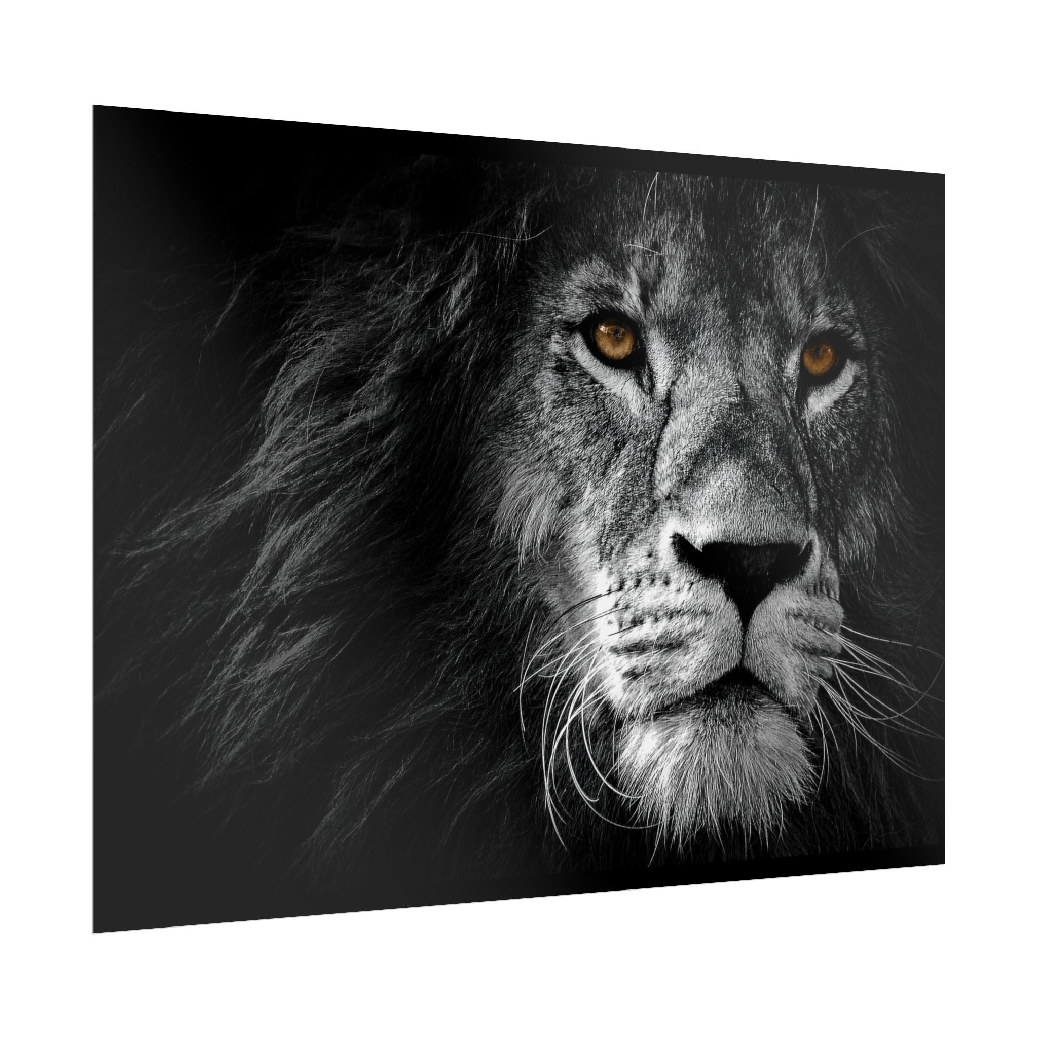 poster-print-lion-wall-art-black-and-white-monochrome-decor-living-room-decor-lion-poster-jungle-animal-art-print-wildlife-sa