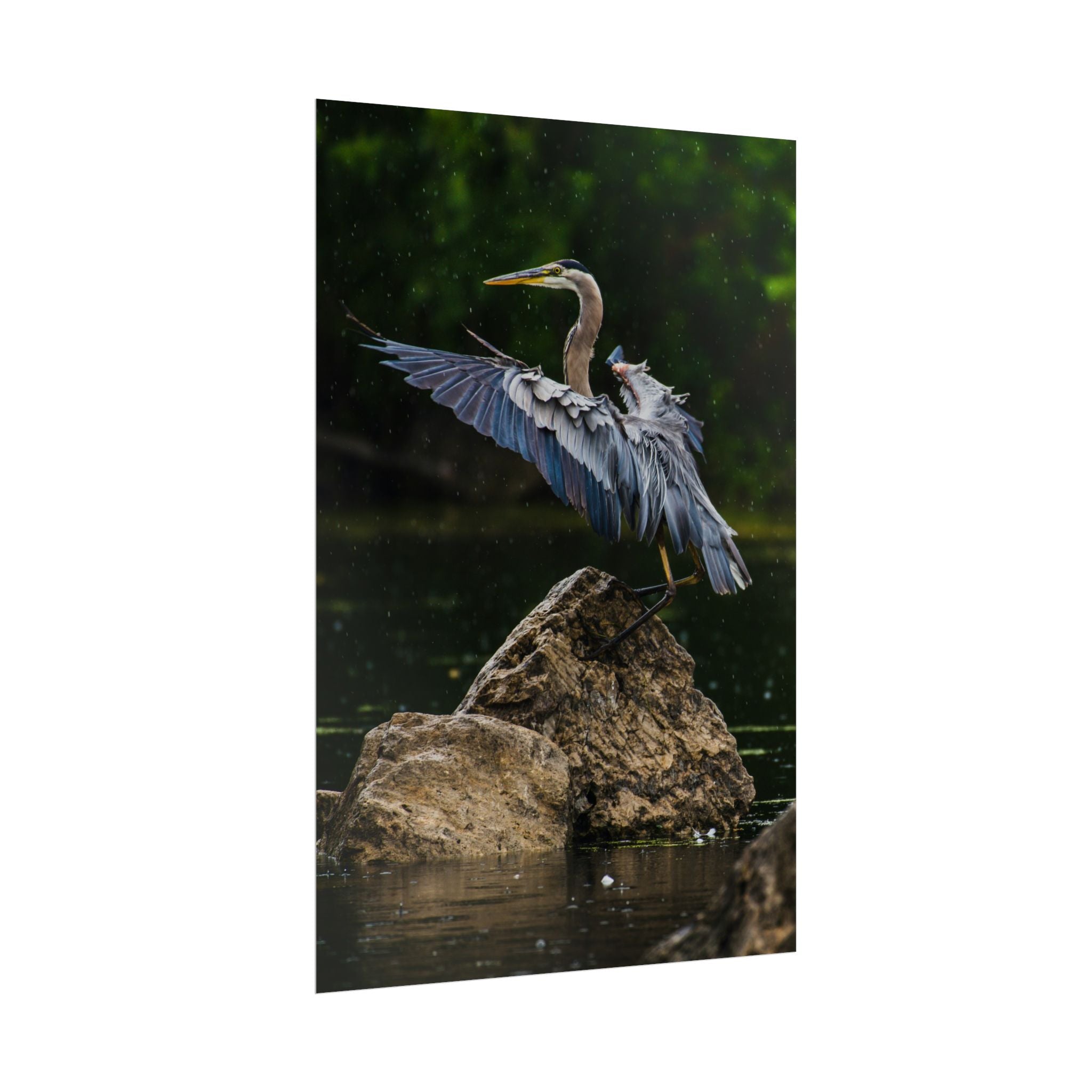 great-blue-heron-poster-wall-art-home-decor-bird-lover-gift-nature-wall-hanging-wildlife-poster