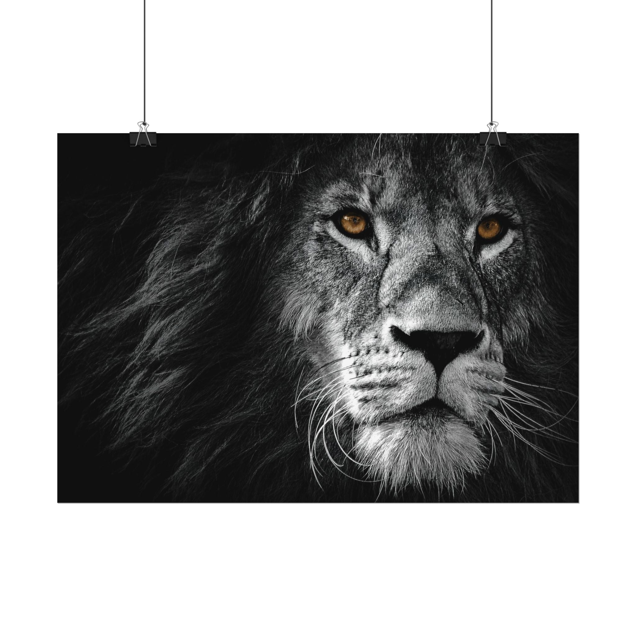 poster-print-lion-wall-art-black-and-white-monochrome-decor-living-room-decor-lion-poster-jungle-animal-art-print-wildlife-sa