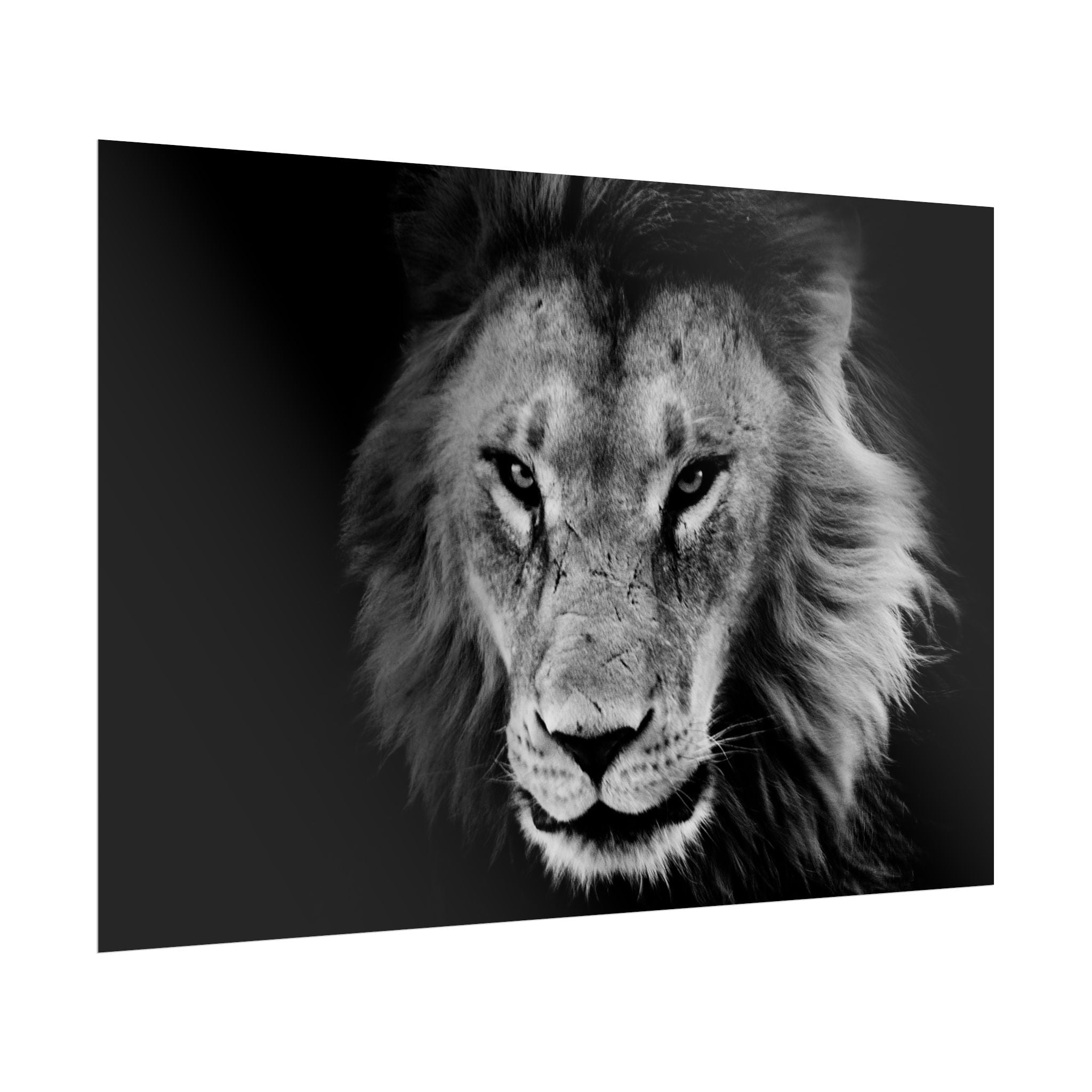 poster-print-lion-wall-art-black-and-white-living-room-decor-monochrome-art-lion-poster-jungle-animal-art-print-wildlife-safa