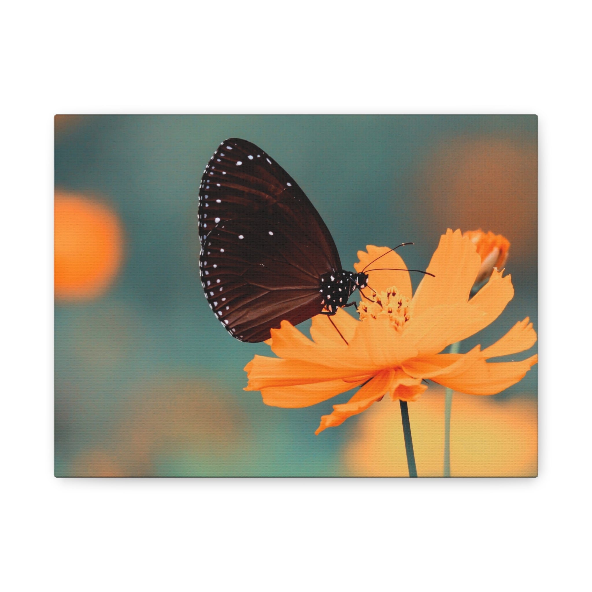 canvas-print-aesthetic-butterfly-monarch-butterfly-living-room-decor-housewarming-gift-wall-art-nature-wall-art-butterfly-dec