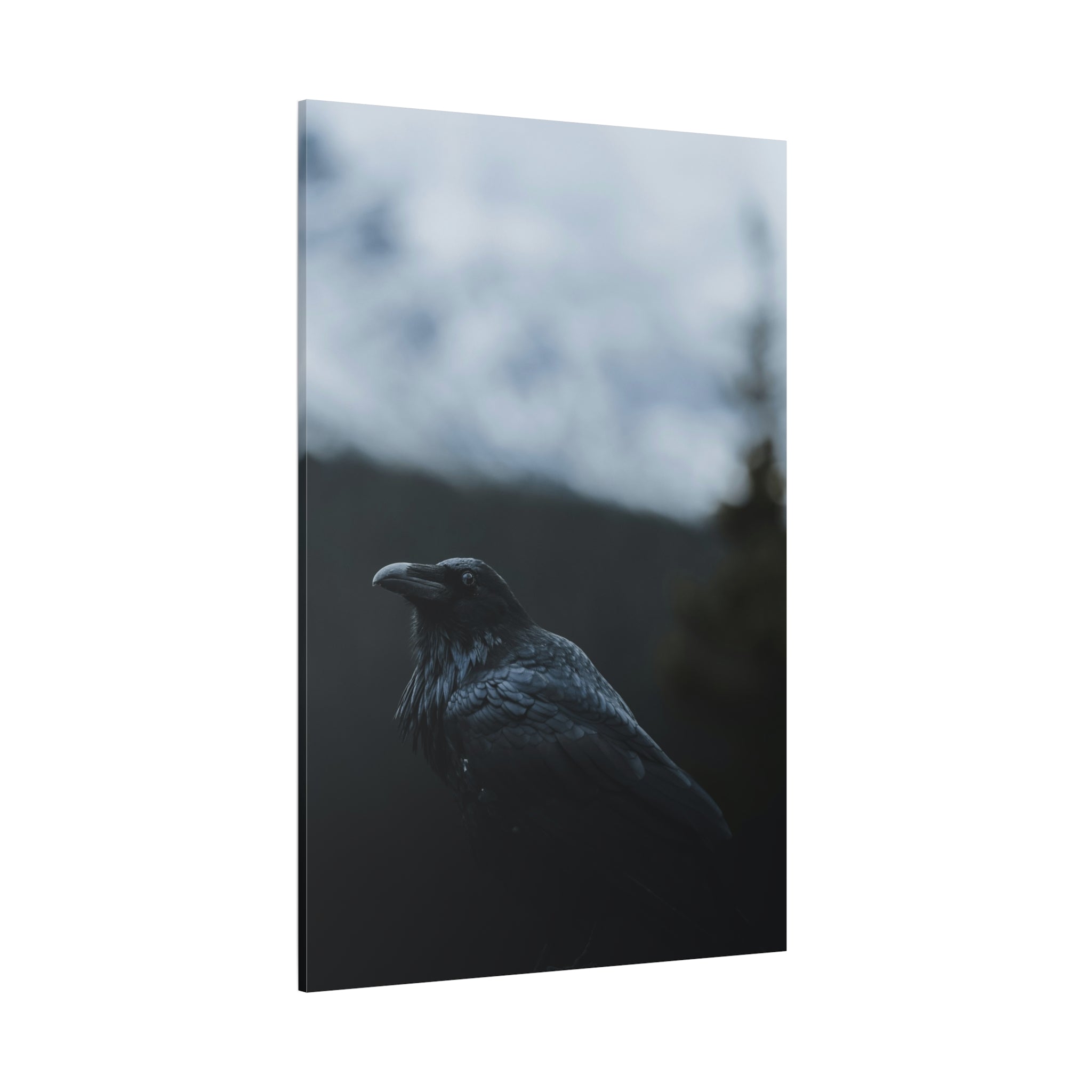 raven-canvas-print-raven-decor-matte-stretched-wall-art-bird-lover-gift-gothic-home-decor-halloween-picture-raven-art-print-1