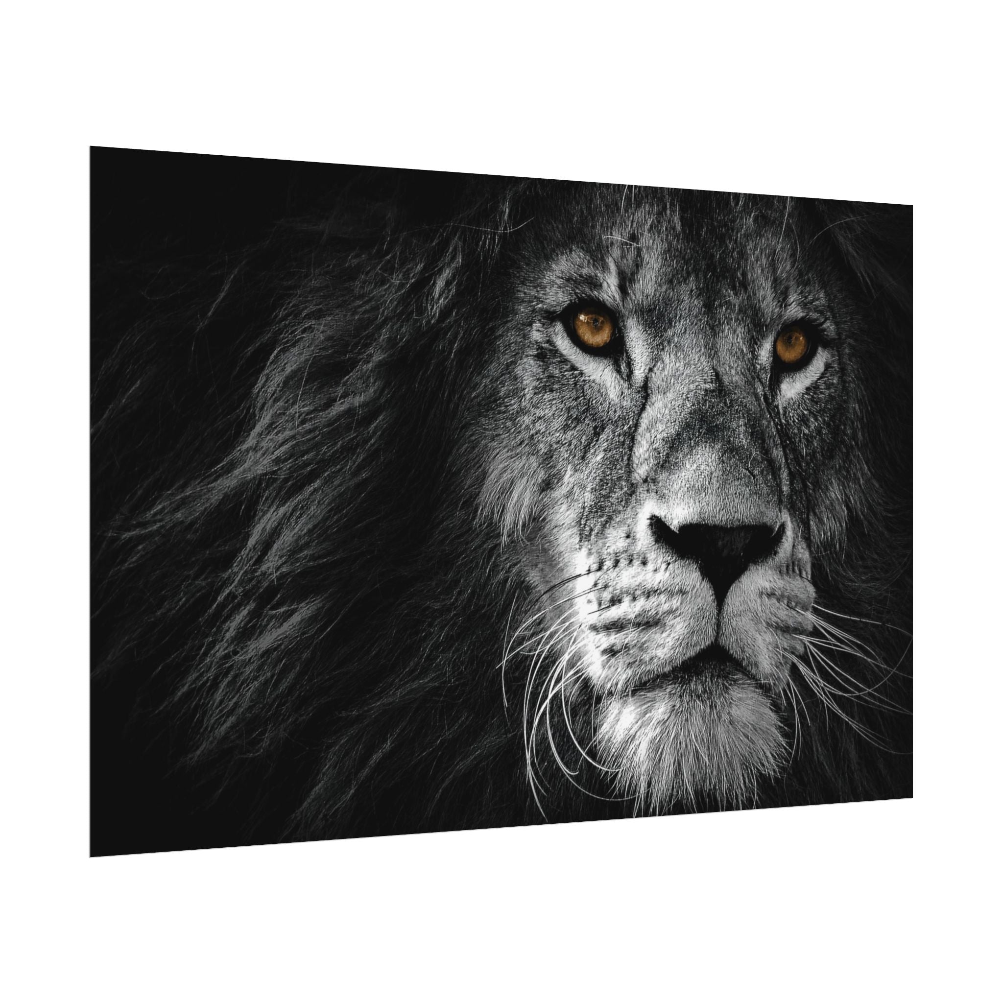 poster-print-lion-wall-art-black-and-white-monochrome-decor-living-room-decor-lion-poster-jungle-animal-art-print-wildlife-sa