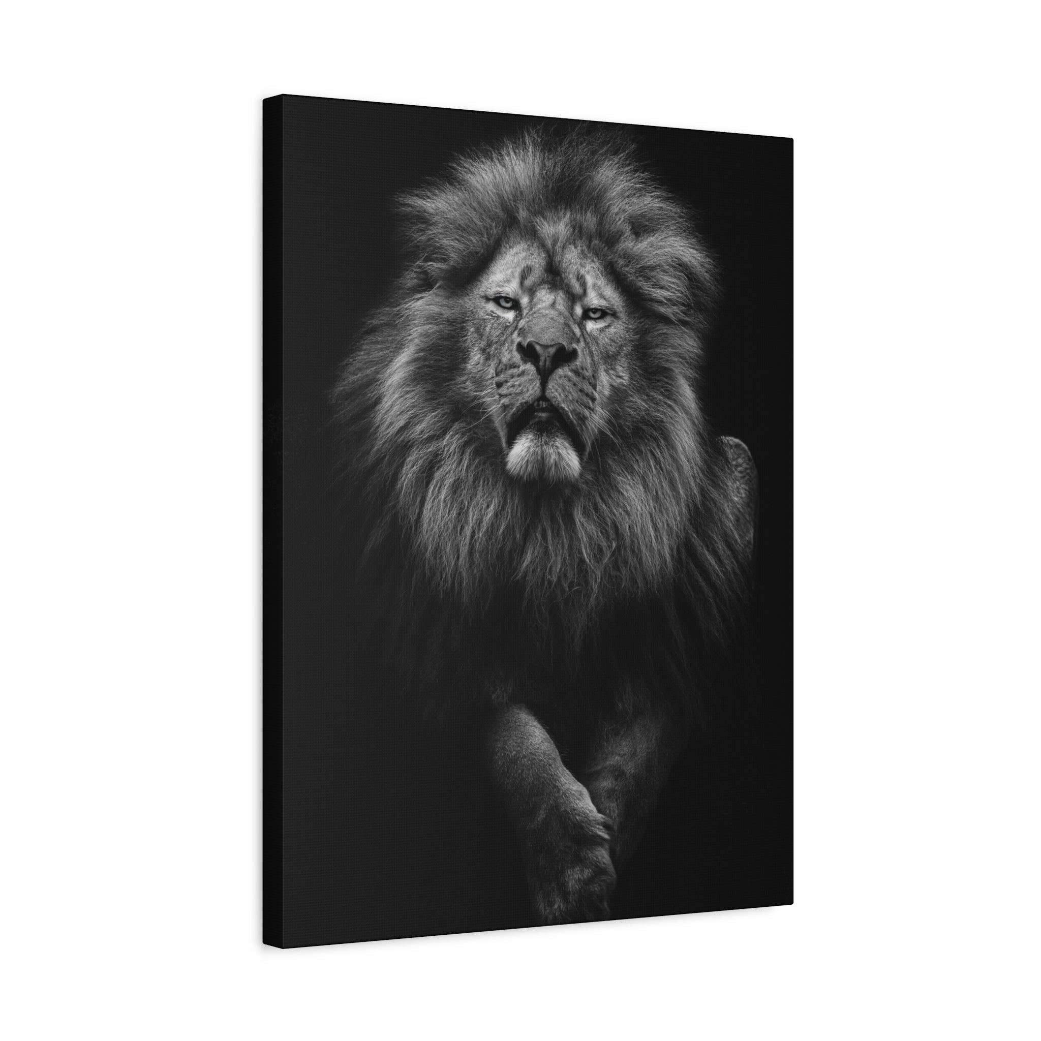 canvas-print-lion-wall-art-black-and-white-living-room-decor-matte-stretched-lion-poster-jungle-animal-art-print-wildlife-saf