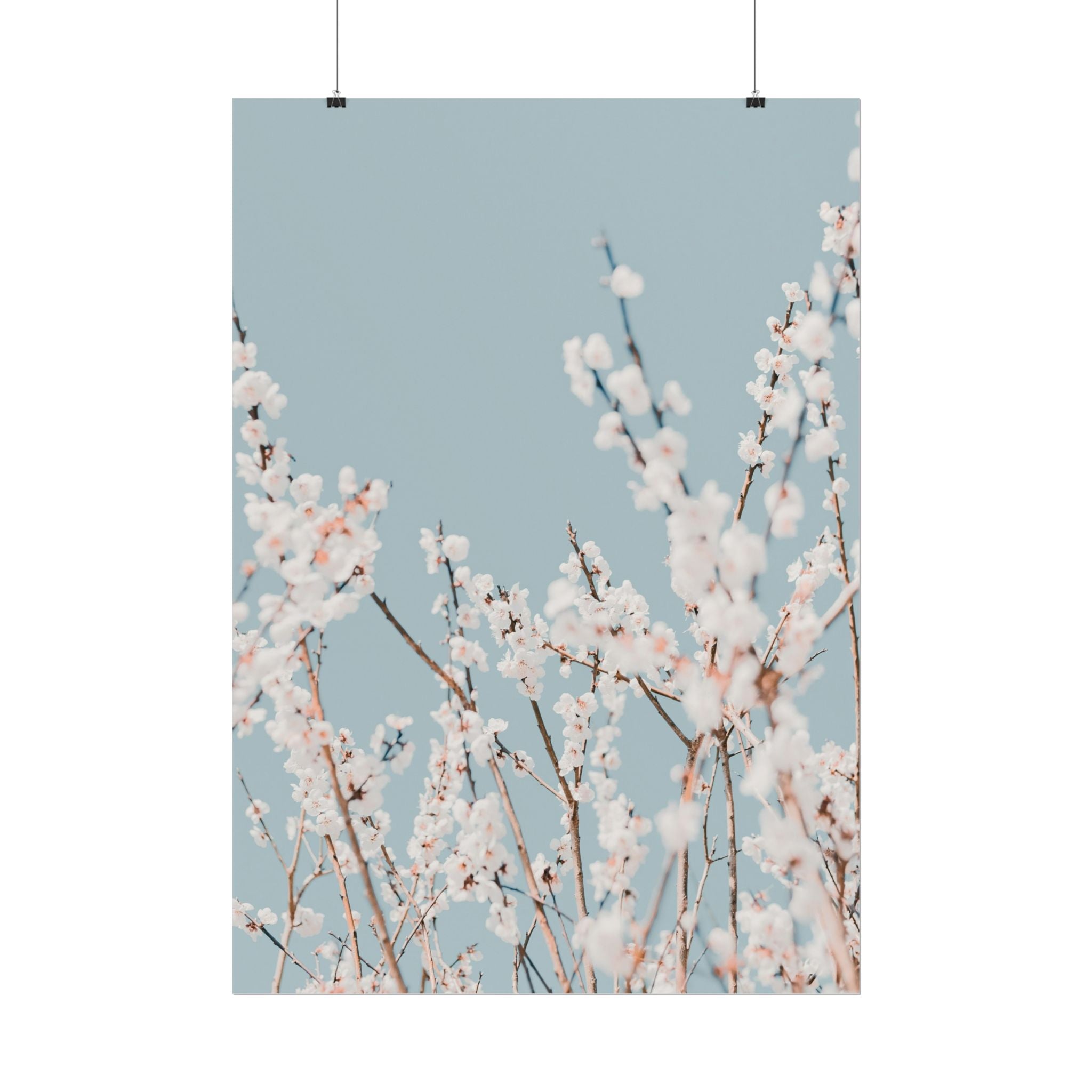 blossom-flowers-poster-print-minimalist-aesthetic-wall-art-fine-art-paper-home-decor-floral-decor-elegant-artwork