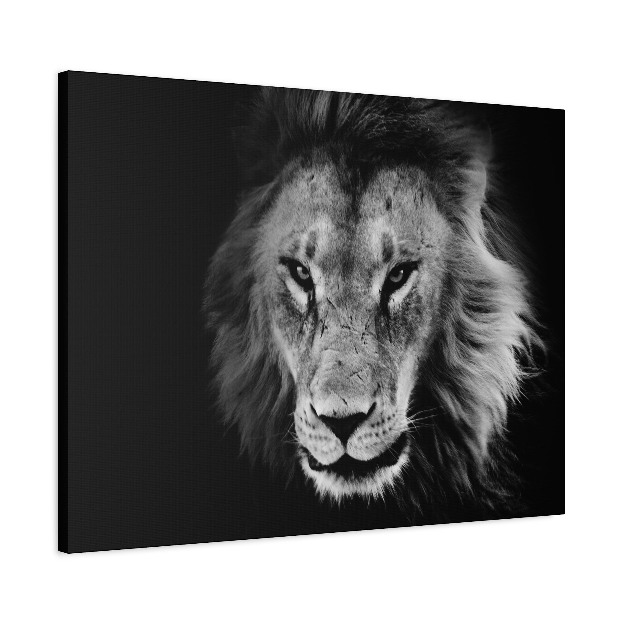 canvas-print-lion-wall-art-black-and-white-living-room-decor-matte-stretched-lion-poster-jungle-animal-art-print-wildlife-saf