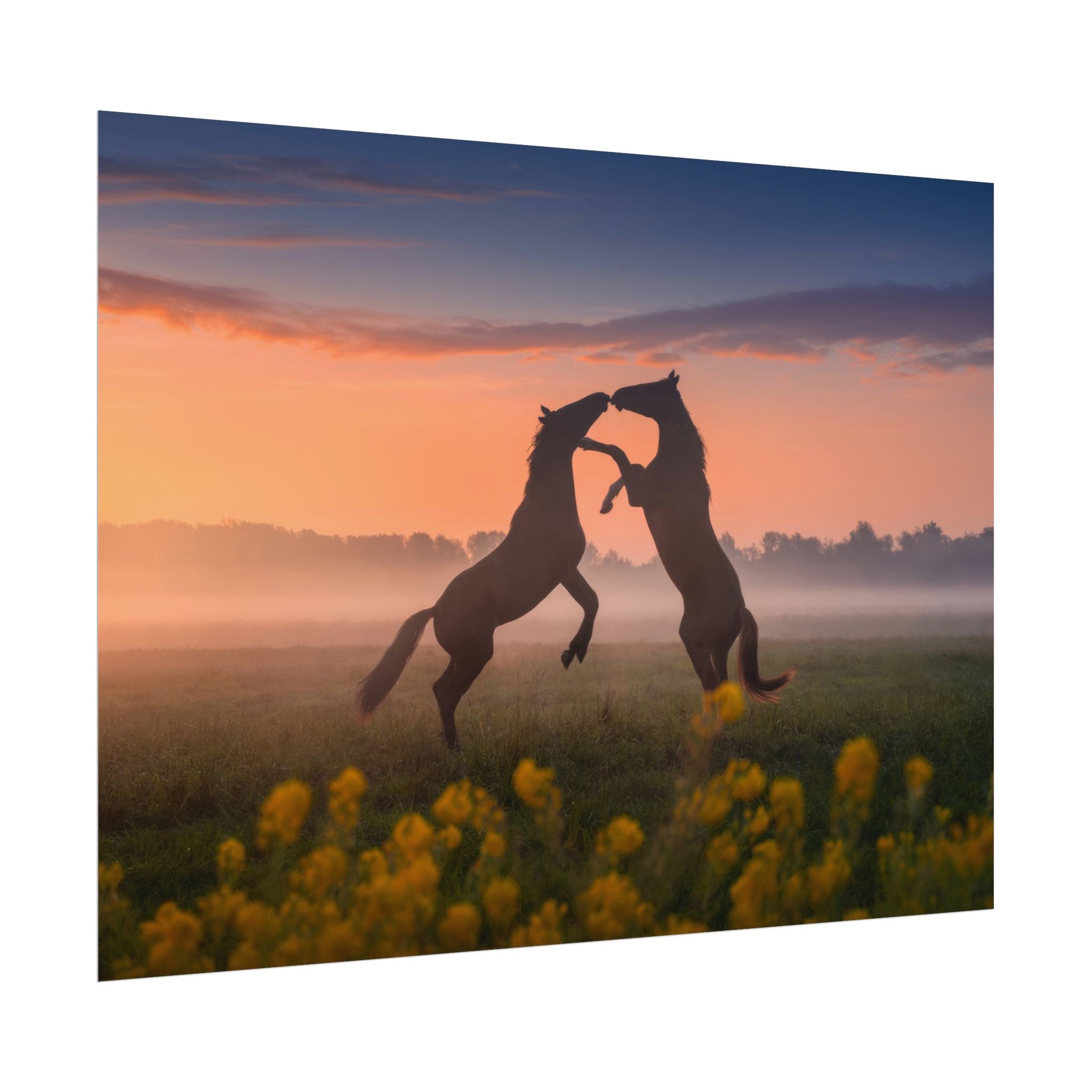 wild-rising-horses-poster-print-field-of-flowers-decor-home-decor-farmhouse-wall-decor-nature-wall-art-horse-Poster-print-mus