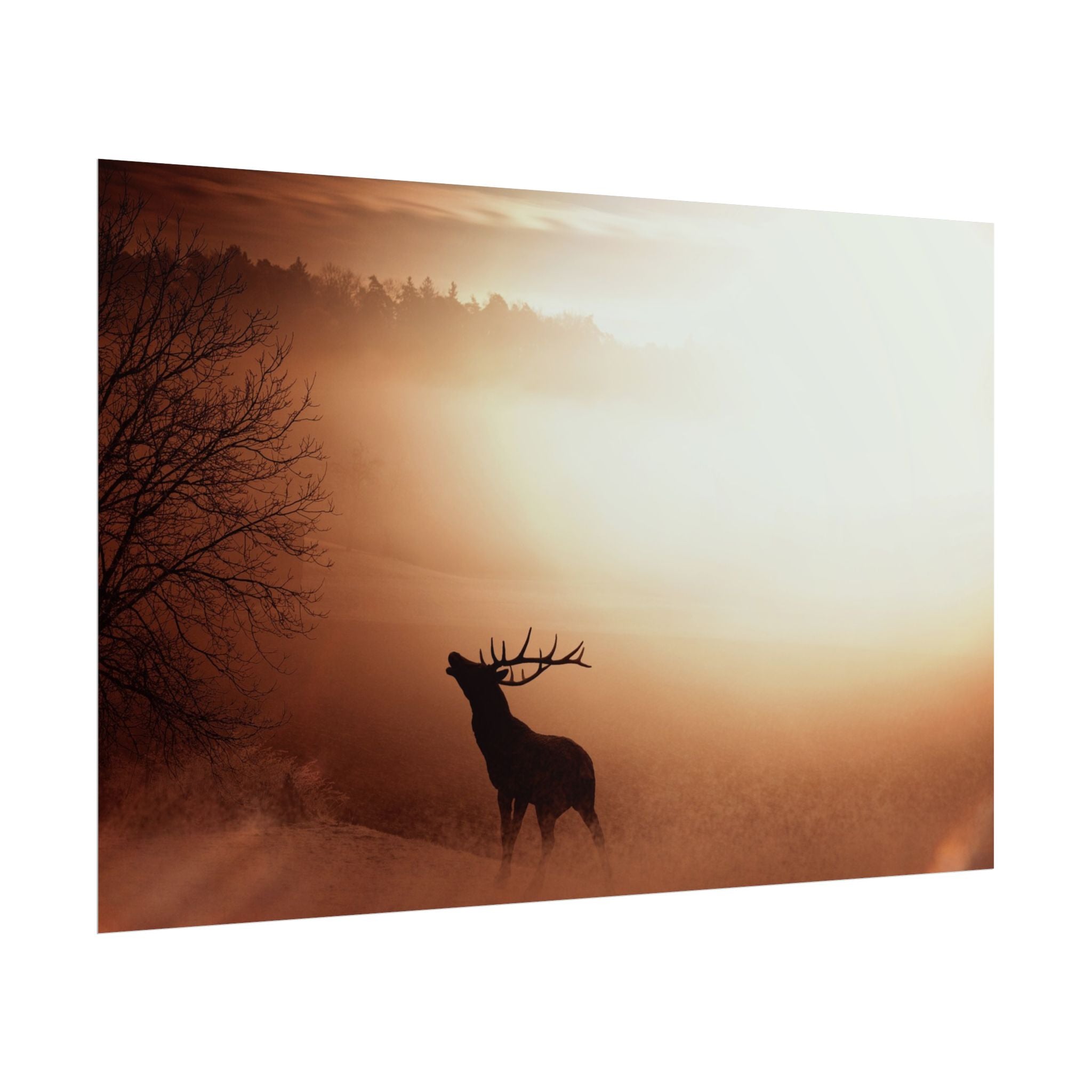 poster-print-elk-in-forest-sunset-scenery-nature-home-decor-animal-wall-art-wildlife-decor-farmhouse-wall-art-elk-prints-post