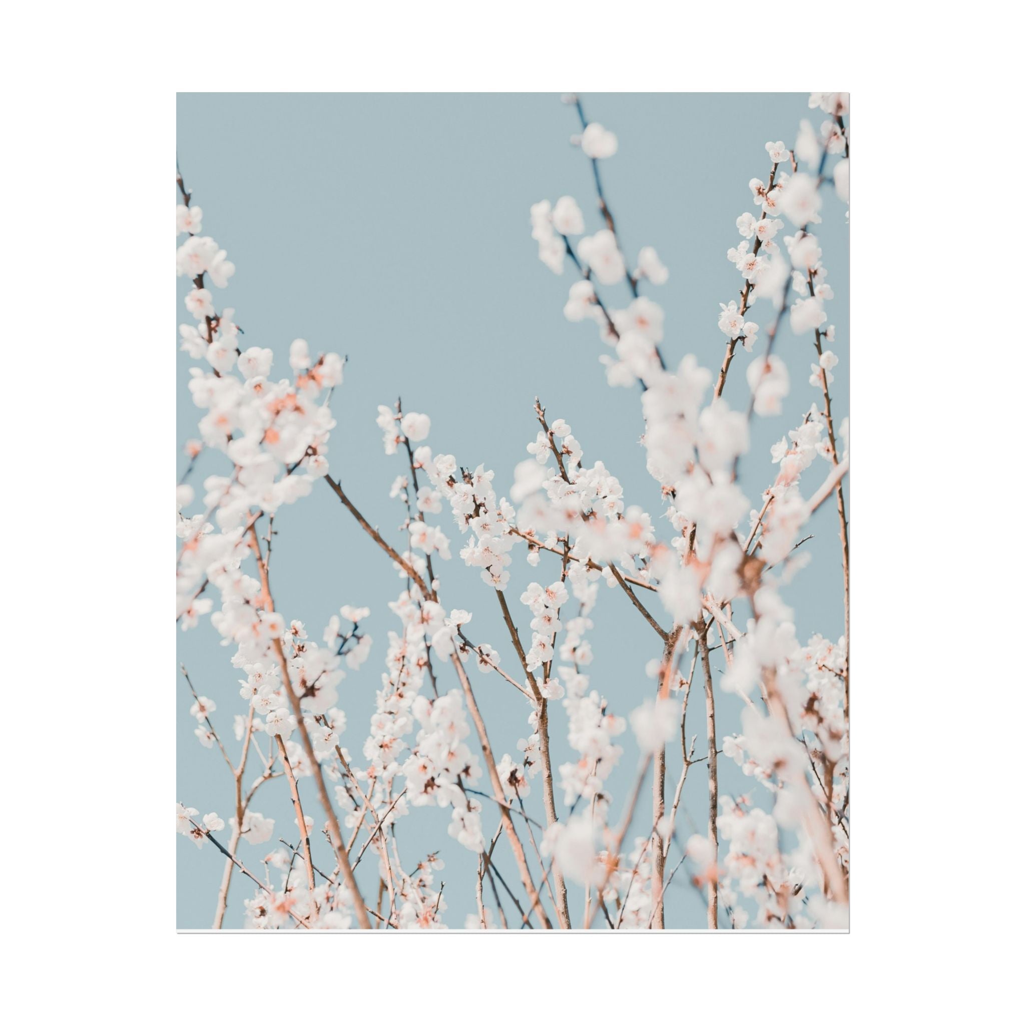 blossom-flowers-poster-print-minimalist-aesthetic-wall-art-fine-art-paper-home-decor-floral-decor-elegant-artwork