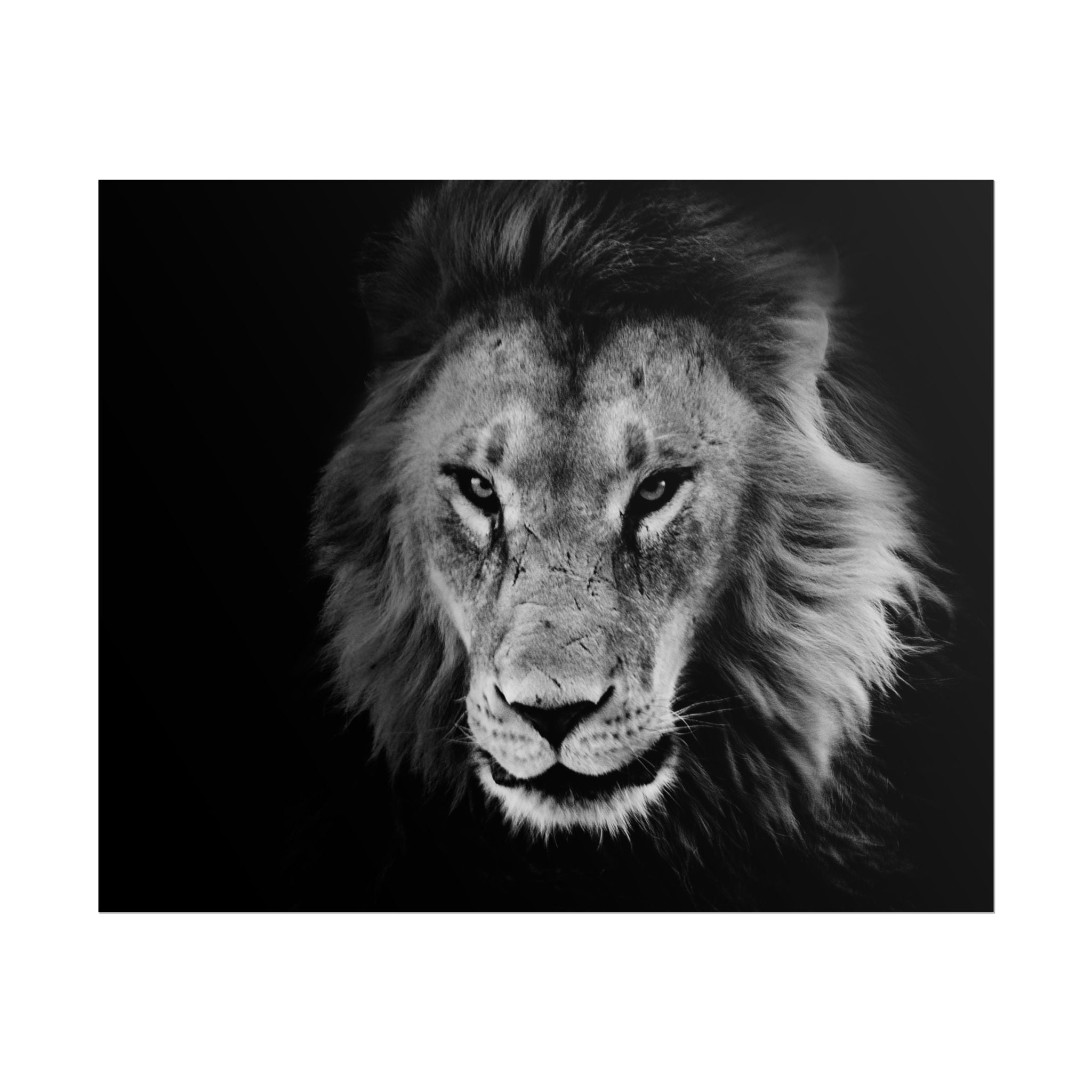 poster-print-lion-wall-art-black-and-white-living-room-decor-monochrome-art-lion-poster-jungle-animal-art-print-wildlife-safa