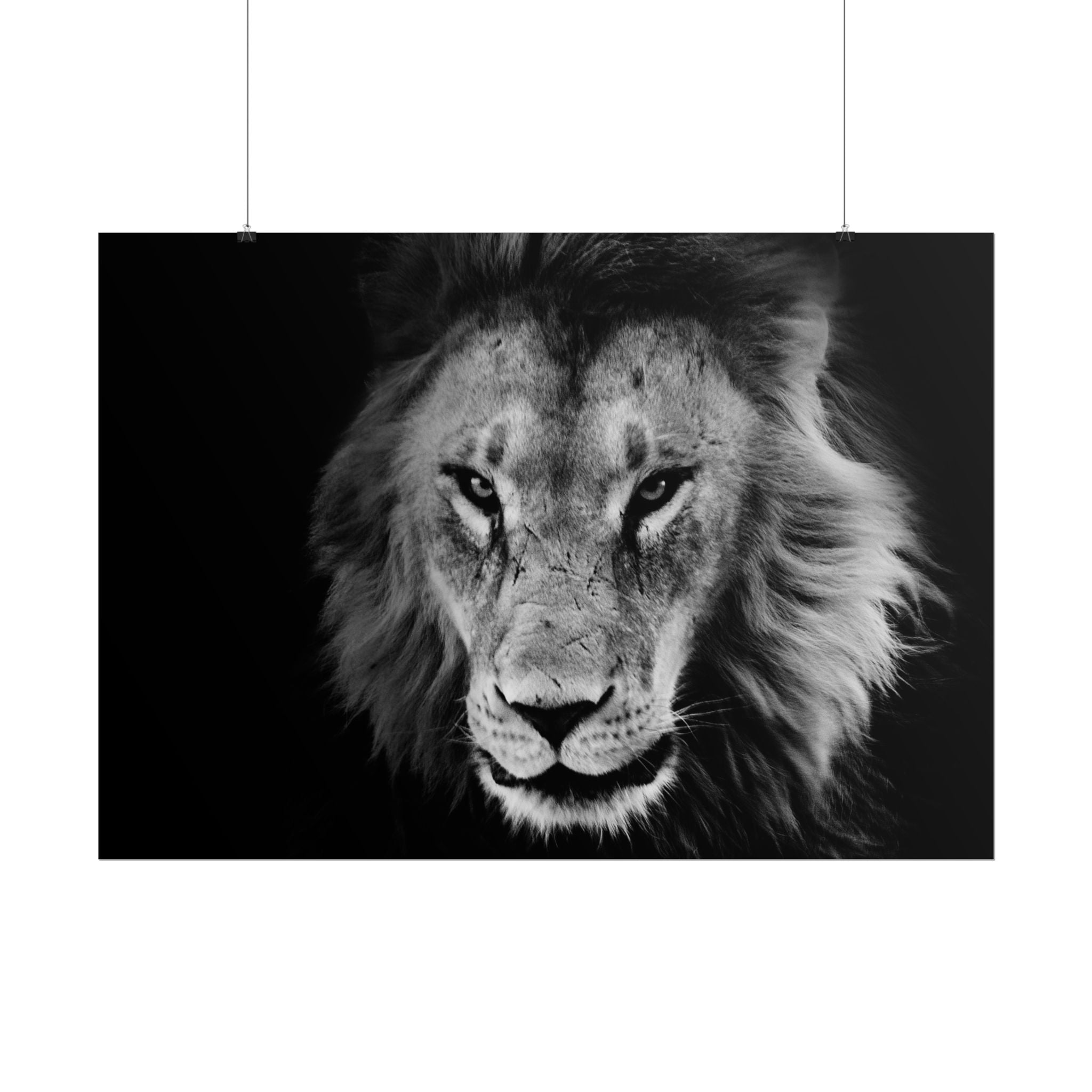 poster-print-lion-wall-art-black-and-white-living-room-decor-monochrome-art-lion-poster-jungle-animal-art-print-wildlife-safa
