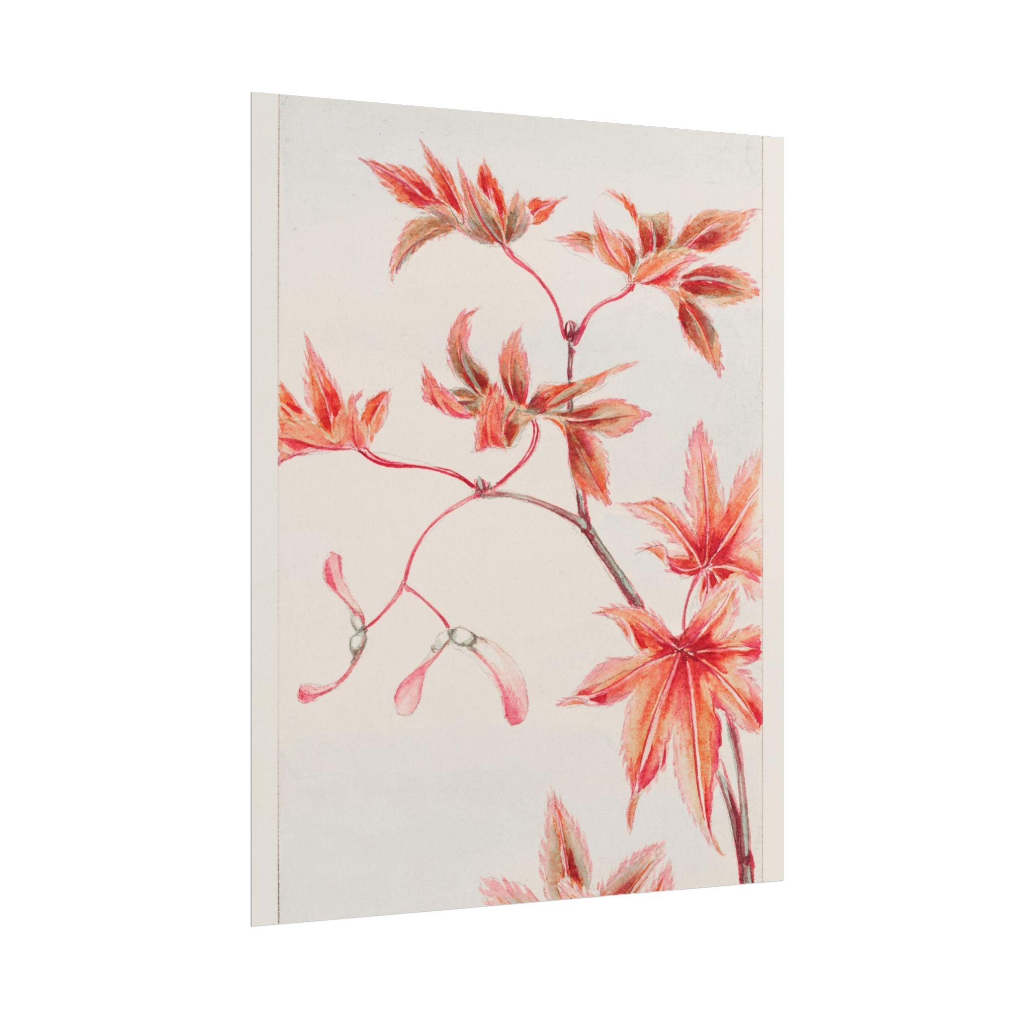 poster-print-branch-of-momiji-maple-tree-with-leaves-floral-wall-art-rolled-posters-wall-decor-room-decoration-nature-art-bot