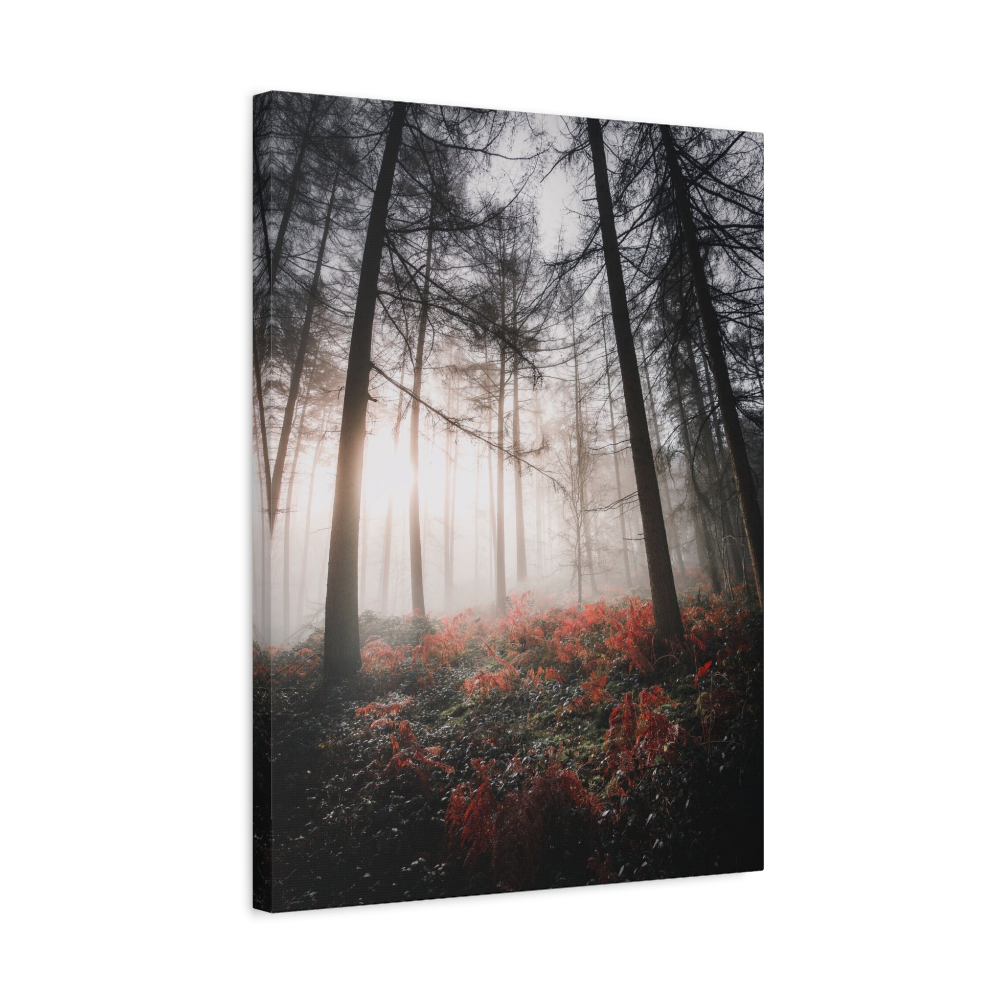 canvas-print-misty-woods-art-living-room-wall-decor-sunlight-forest-landscape-aesthetic-nature-art-stretched-artwork-matte-ca