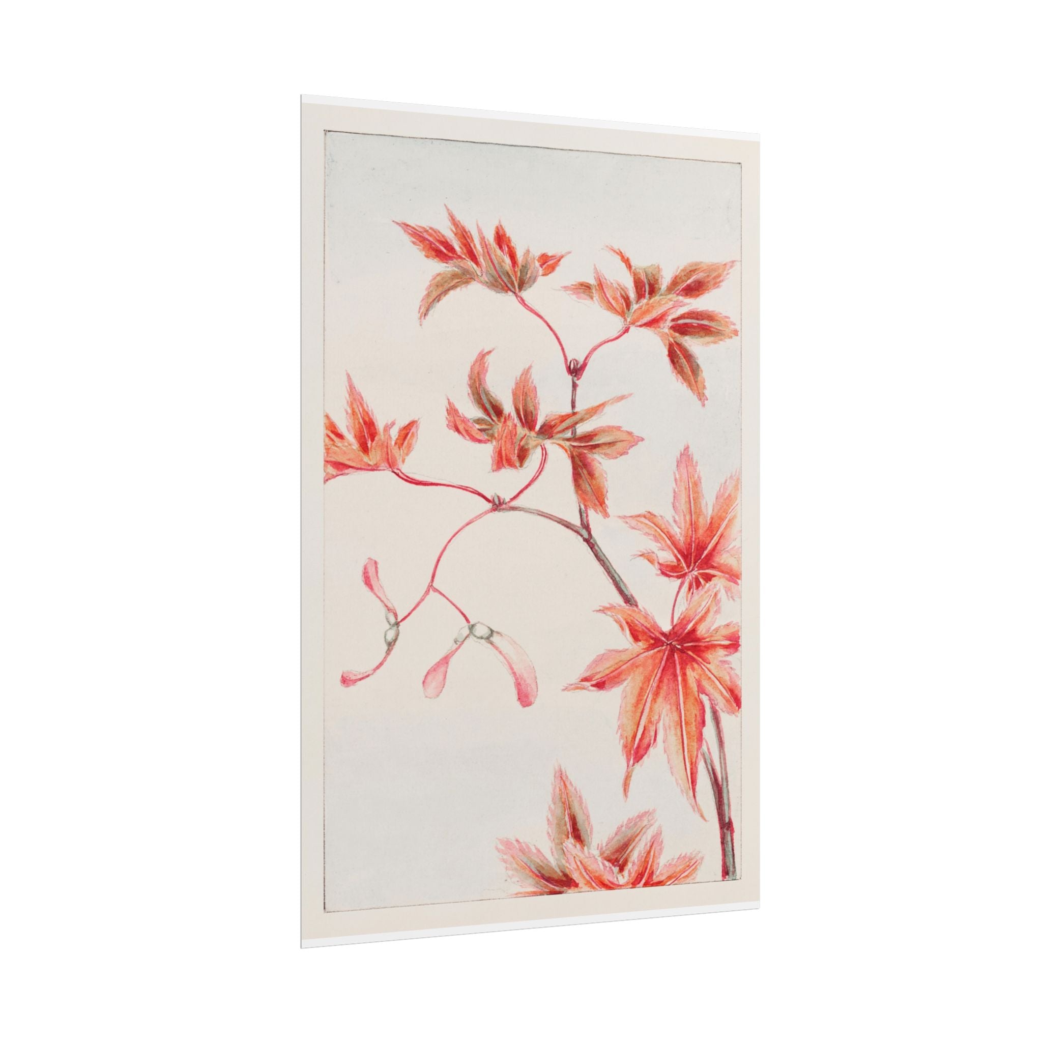 poster-print-branch-of-momiji-maple-tree-with-leaves-floral-wall-art-rolled-posters-wall-decor-room-decoration-nature-art-bot
