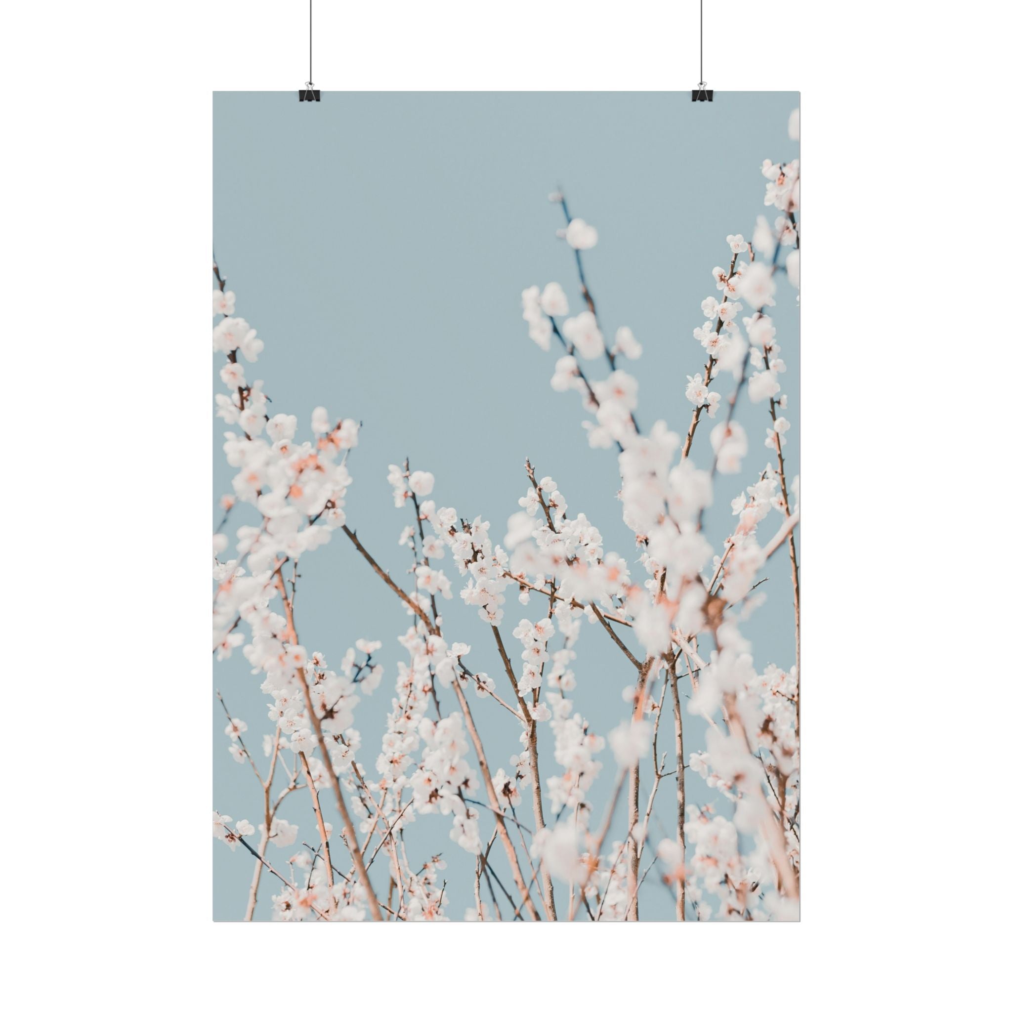 blossom-flowers-poster-print-minimalist-aesthetic-wall-art-fine-art-paper-home-decor-floral-decor-elegant-artwork