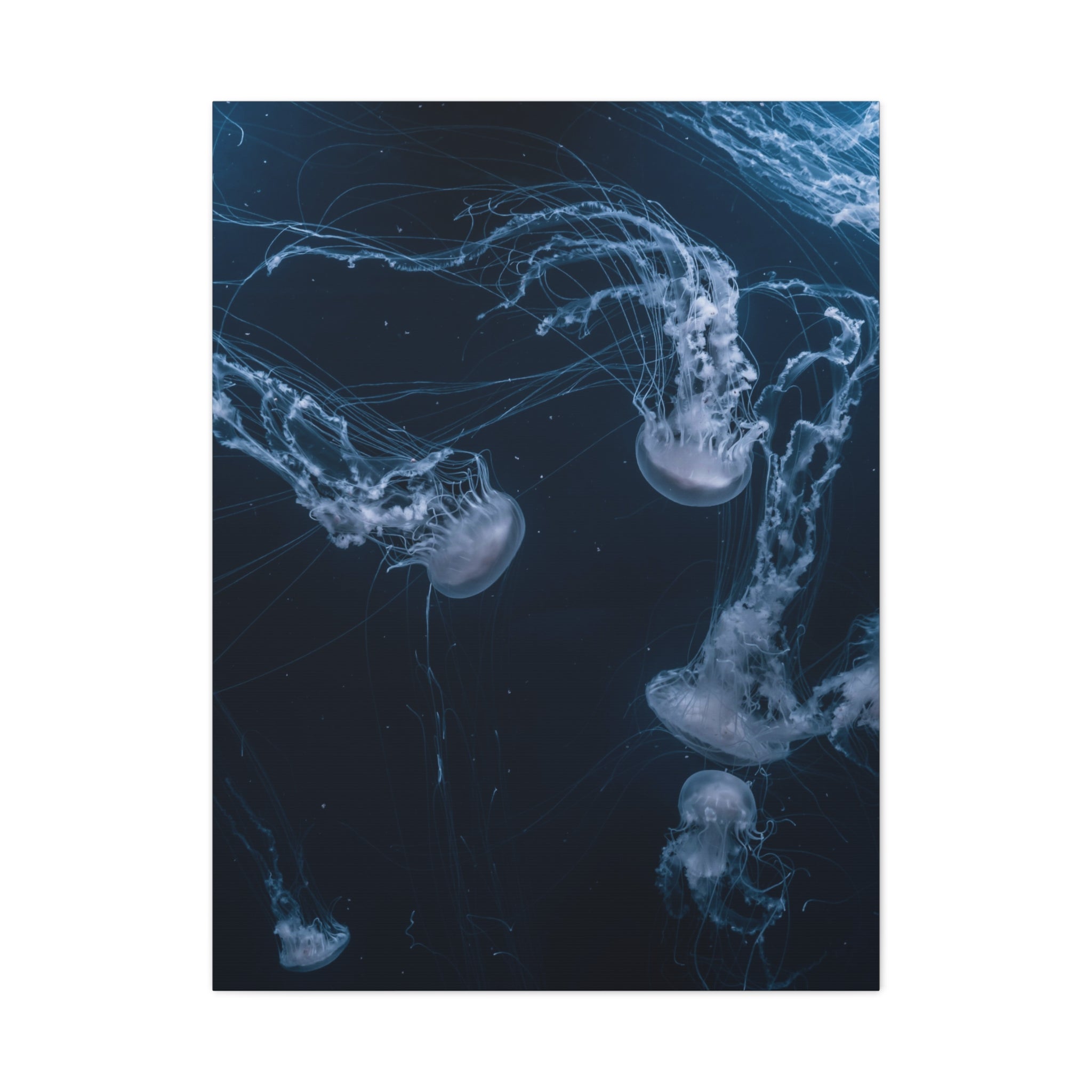 canvas-print-jellyfish-wall-art-wall-hanging-matte-canvas-ocean-life-deep-ocean-decor-home-decor-housewarming-gift