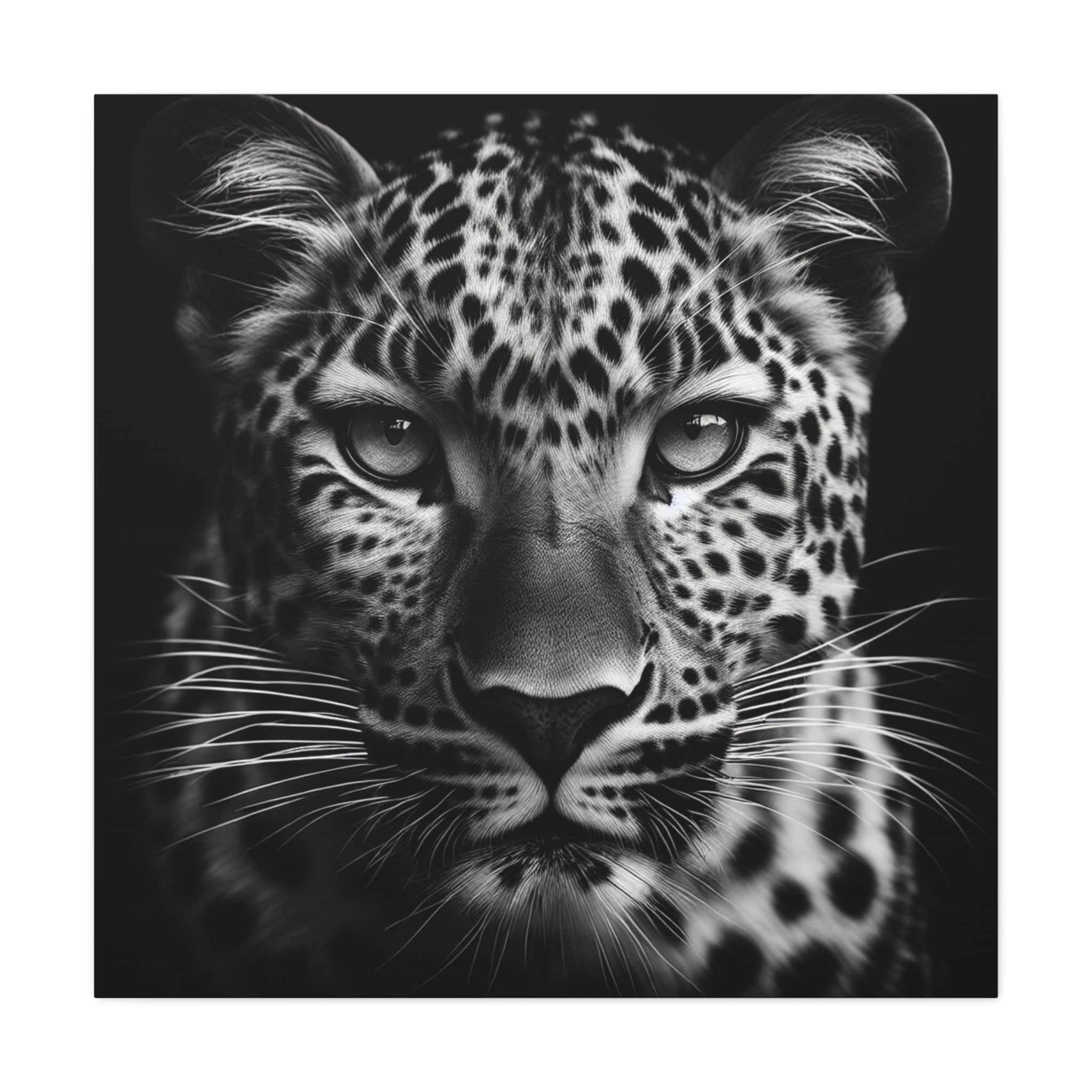 canvas-print-leopard-africa-savanna-wall-decor-black-and-white-photography-living-room-art-stretched-matte-canvas-home-decor